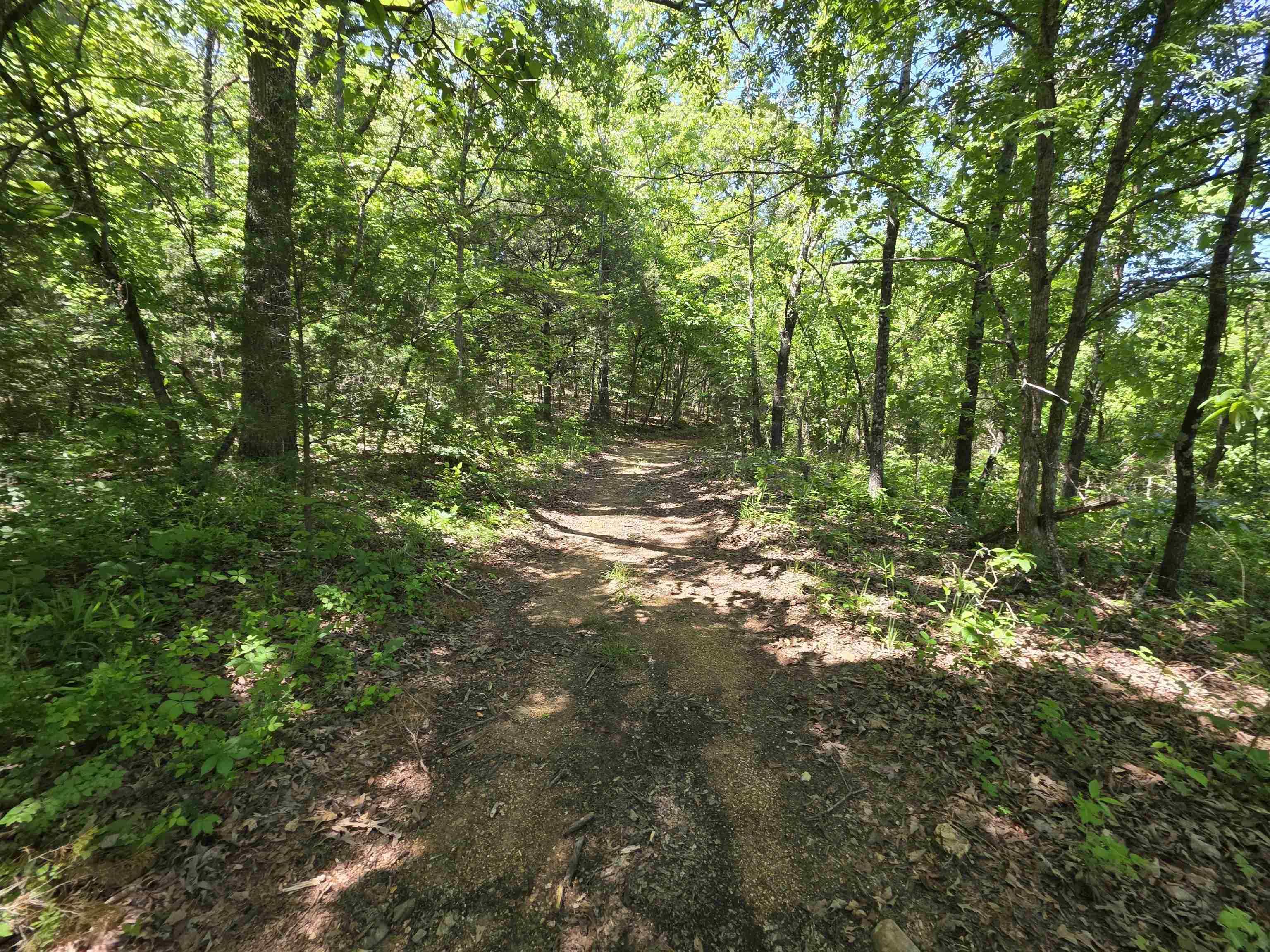 Photo 11 - Vacant Land for sale – L43, 44  White Horse Mountain   Hardy, AR