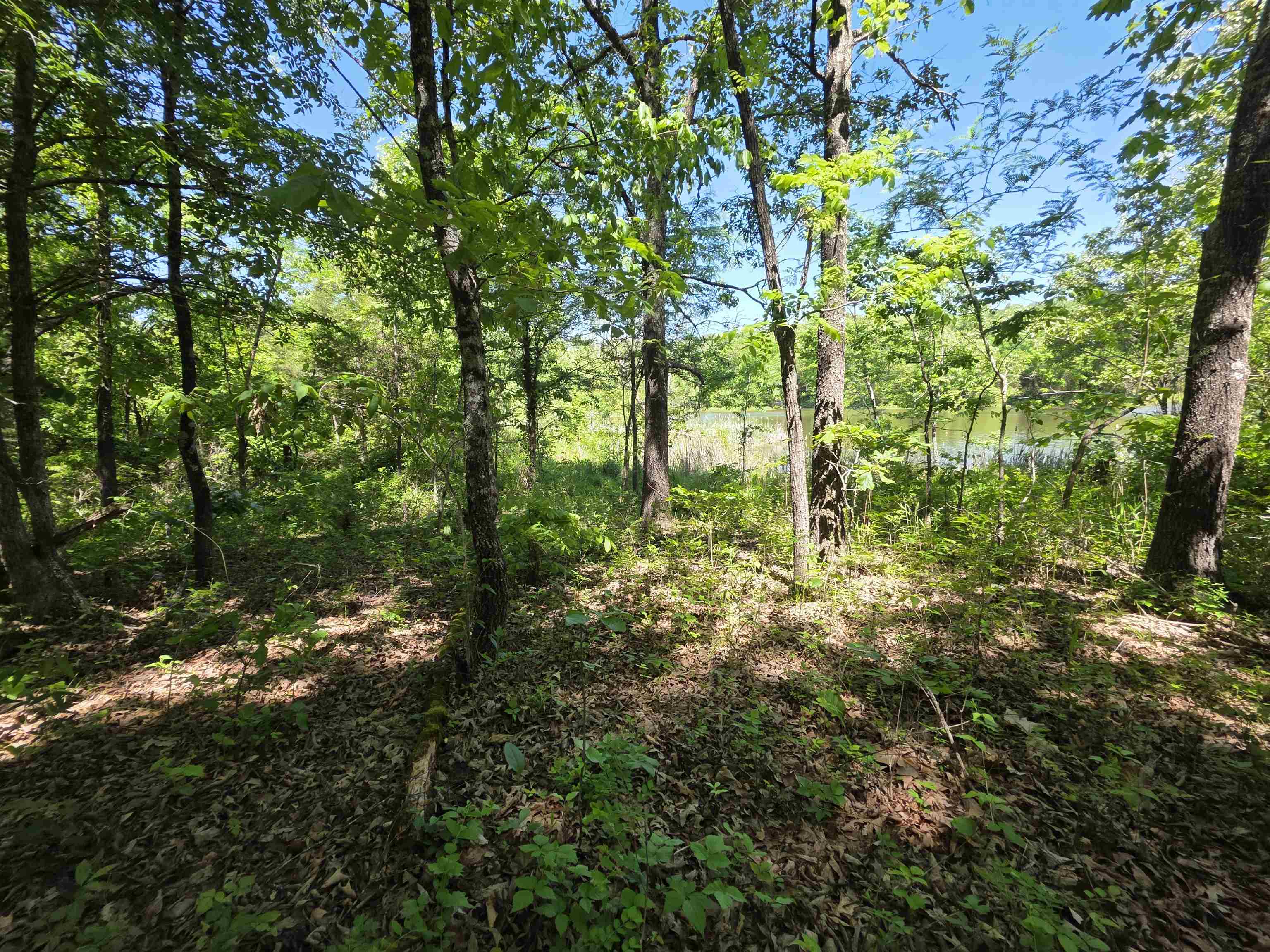 Photo 12 - Vacant Land for sale – L43, 44  White Horse Mountain   Hardy, AR
