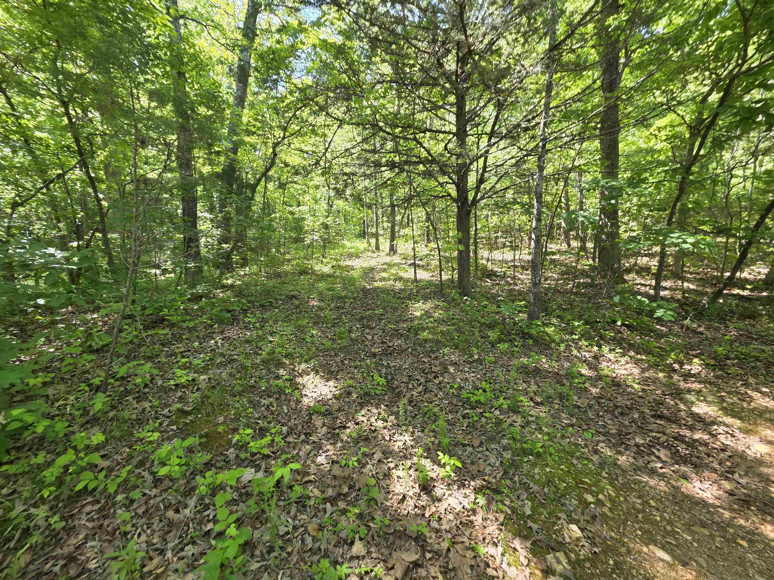 Photo 13 - Vacant Land for sale – L43, 44  White Horse Mountain   Hardy, AR