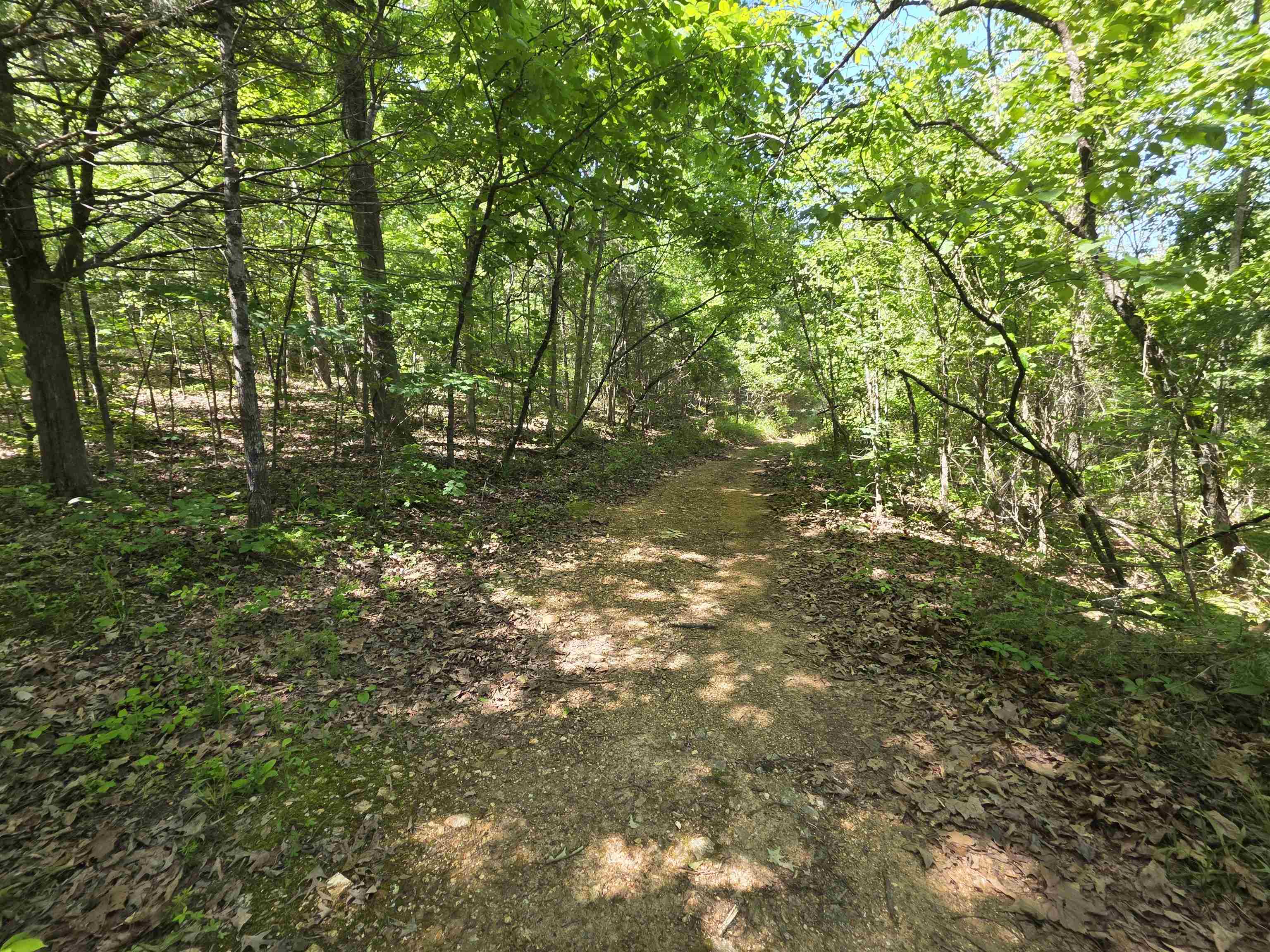 Photo 14 - Vacant Land for sale – L43, 44  White Horse Mountain   Hardy, AR