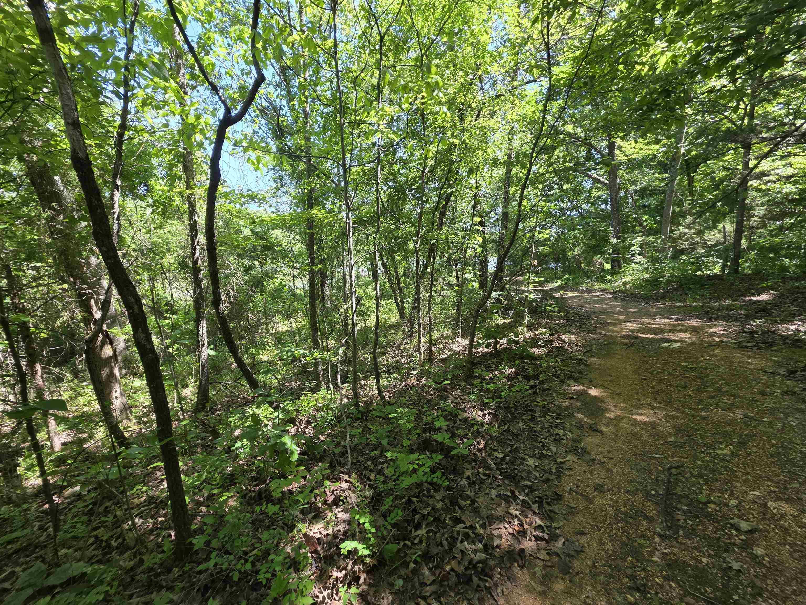 Photo 15 - Vacant Land for sale – L43, 44  White Horse Mountain   Hardy, AR