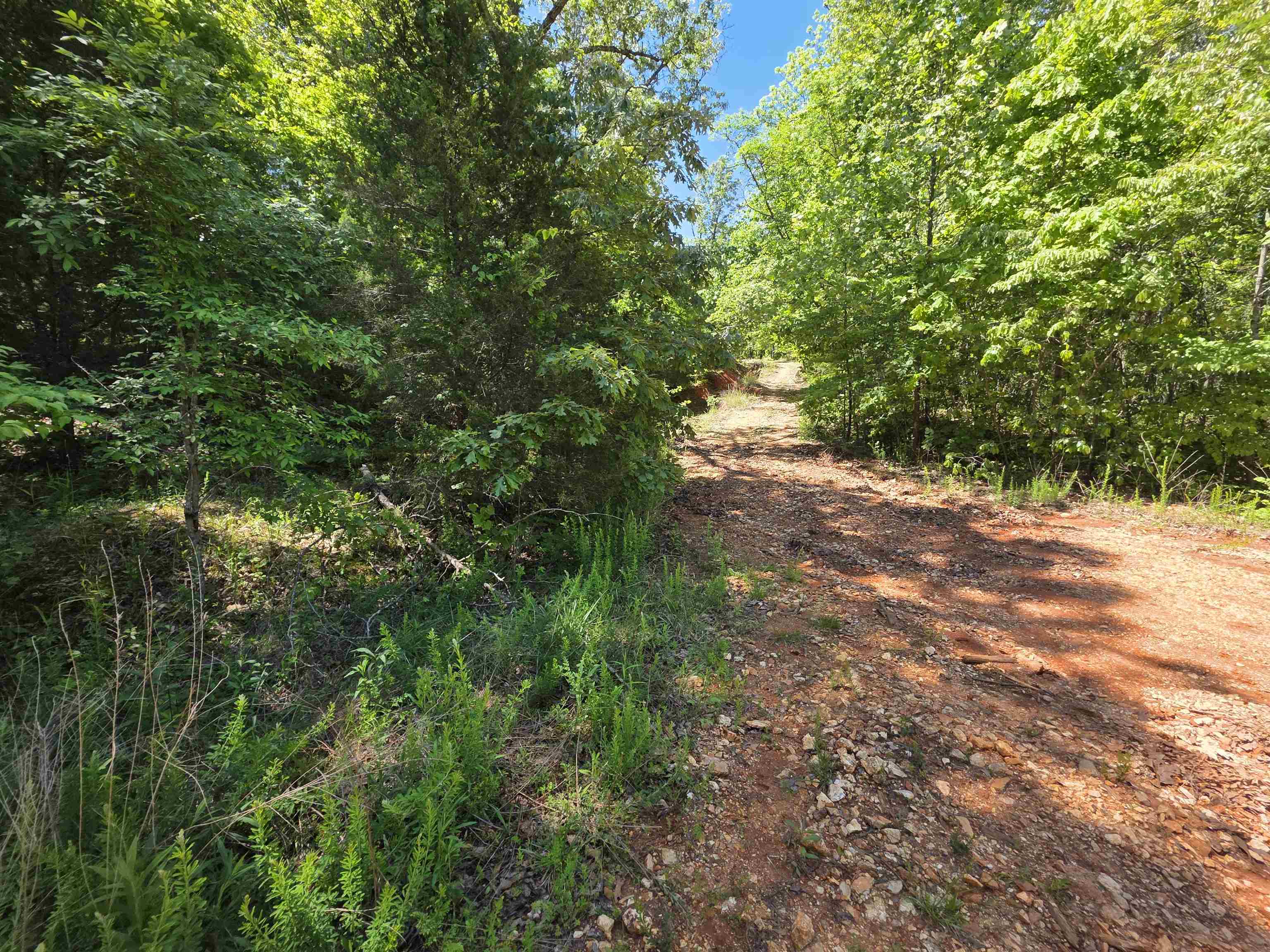 Photo 20 - Vacant Land for sale – L43, 44  White Horse Mountain   Hardy, AR