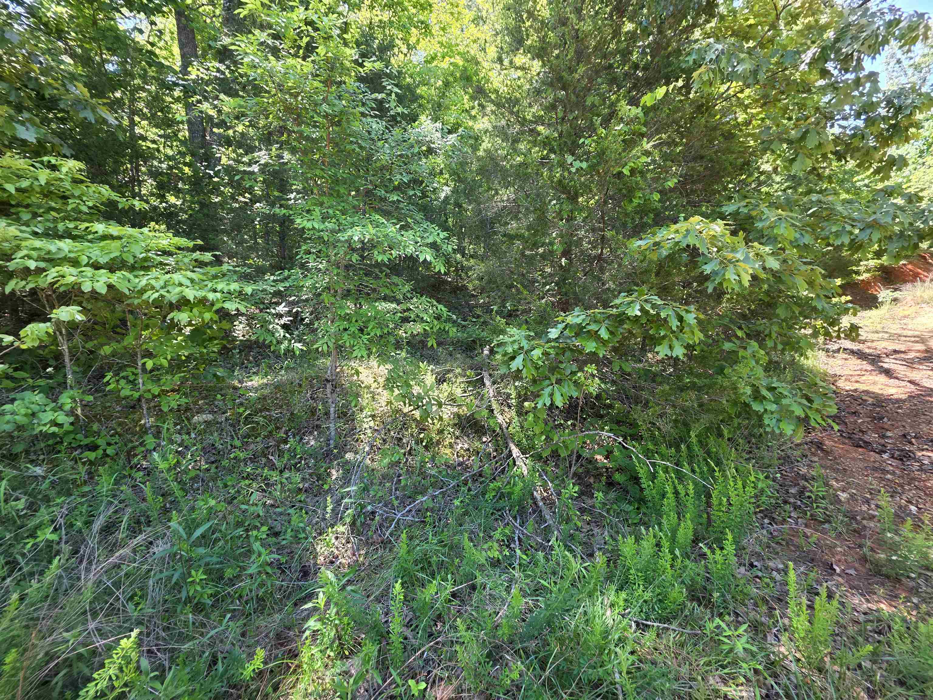 Photo 21 - Vacant Land for sale – L43, 44  White Horse Mountain   Hardy, AR