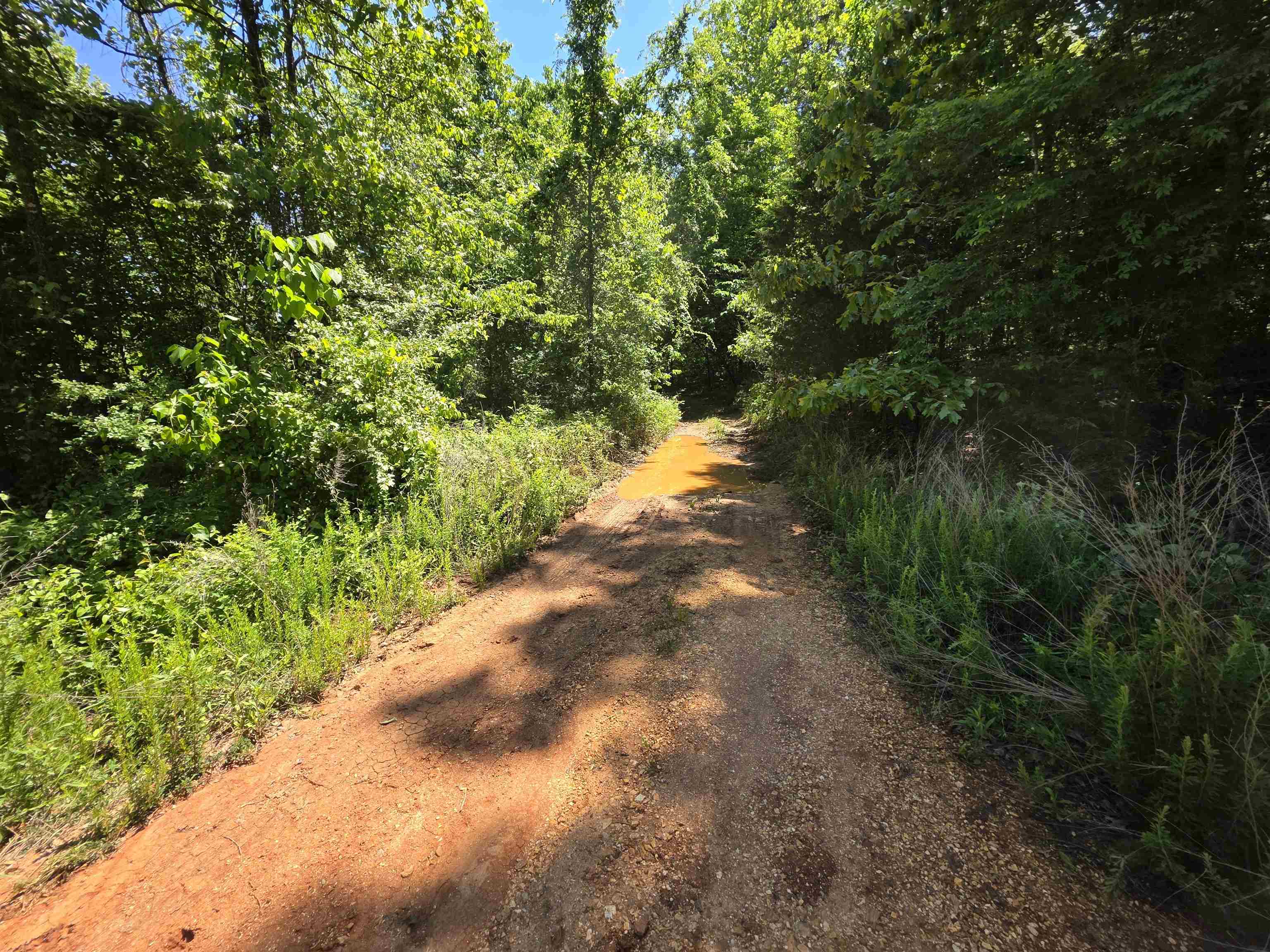 Photo 22 - Vacant Land for sale – L43, 44  White Horse Mountain   Hardy, AR