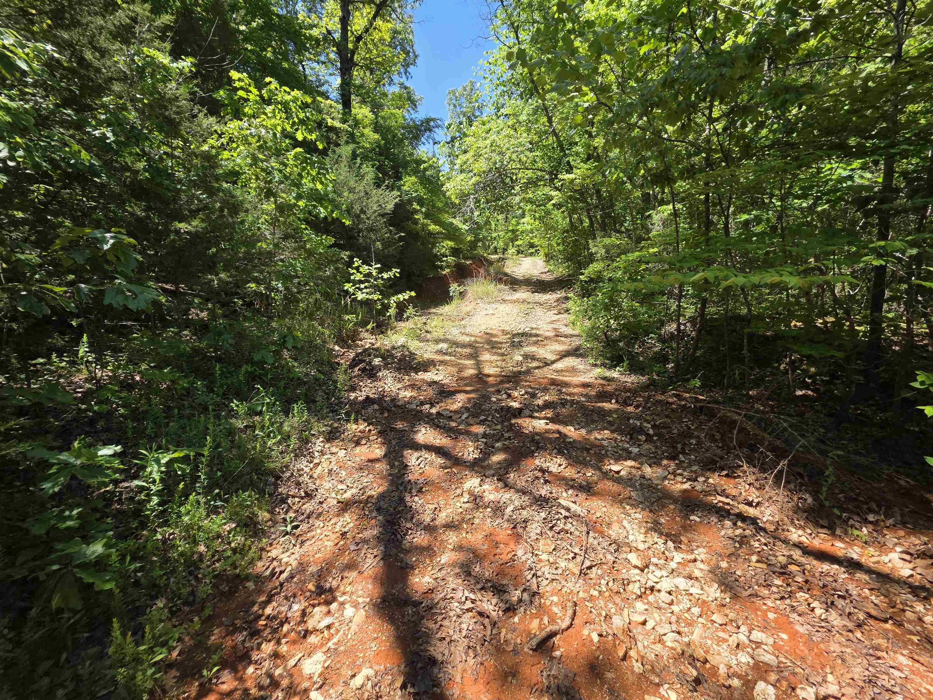 Photo 23 - Vacant Land for sale – L43, 44  White Horse Mountain   Hardy, AR