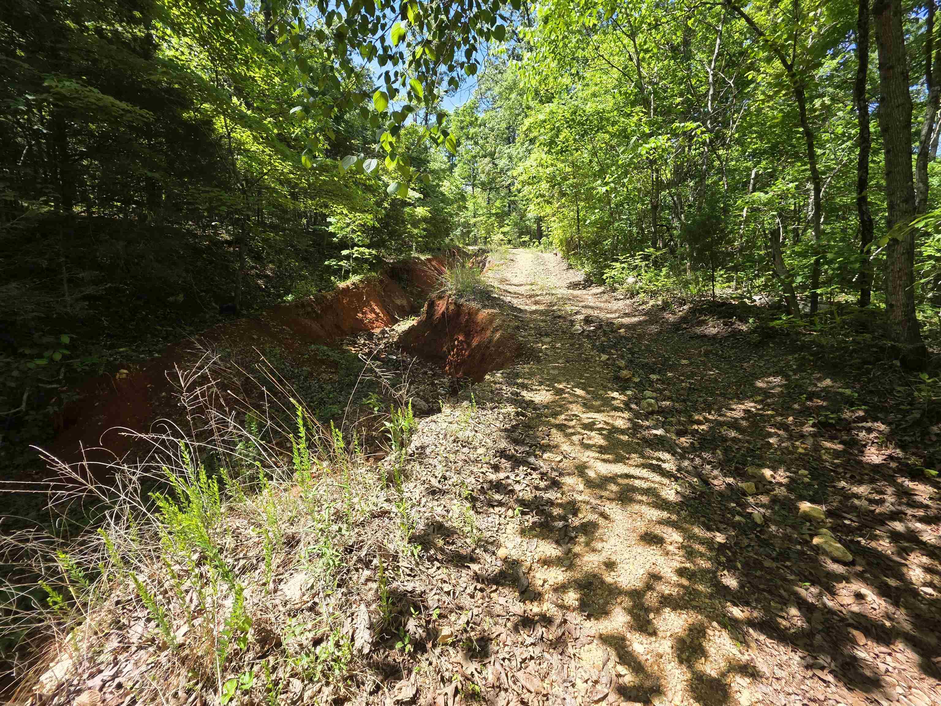 Photo 24 - Vacant Land for sale – L43, 44  White Horse Mountain   Hardy, AR