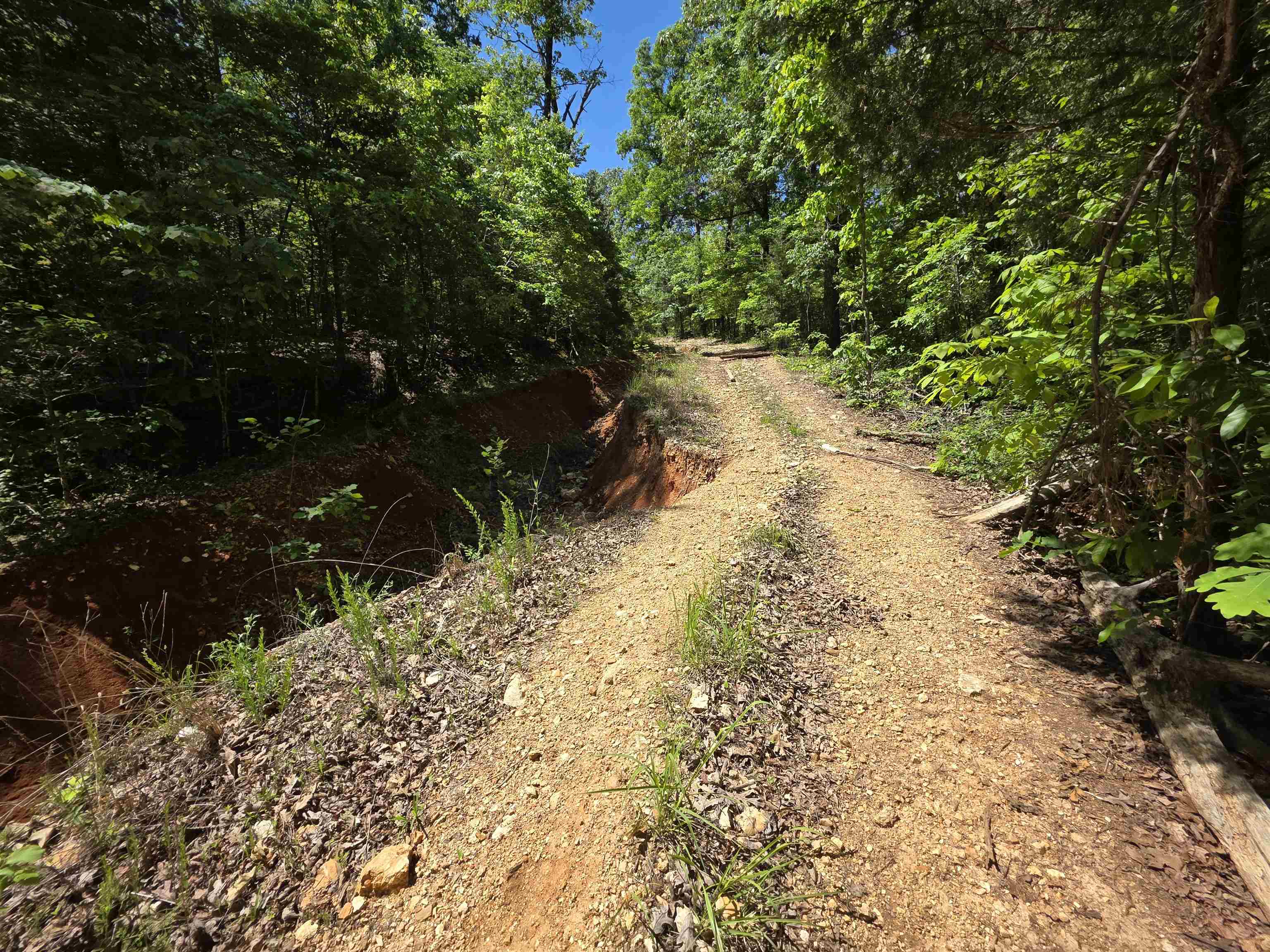 Photo 25 - Vacant Land for sale – L43, 44  White Horse Mountain   Hardy, AR