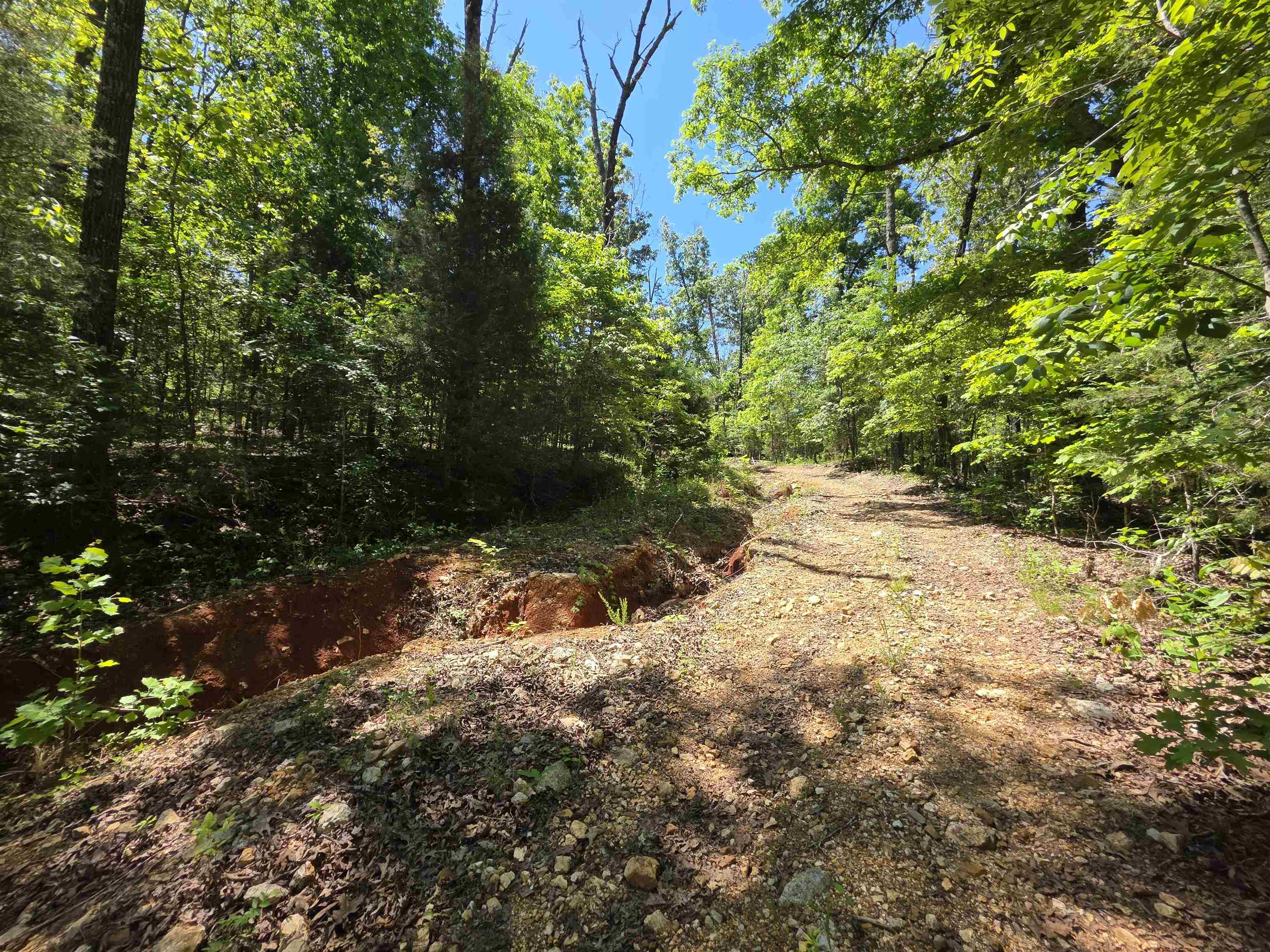 Photo 26 - Vacant Land for sale – L43, 44  White Horse Mountain   Hardy, AR