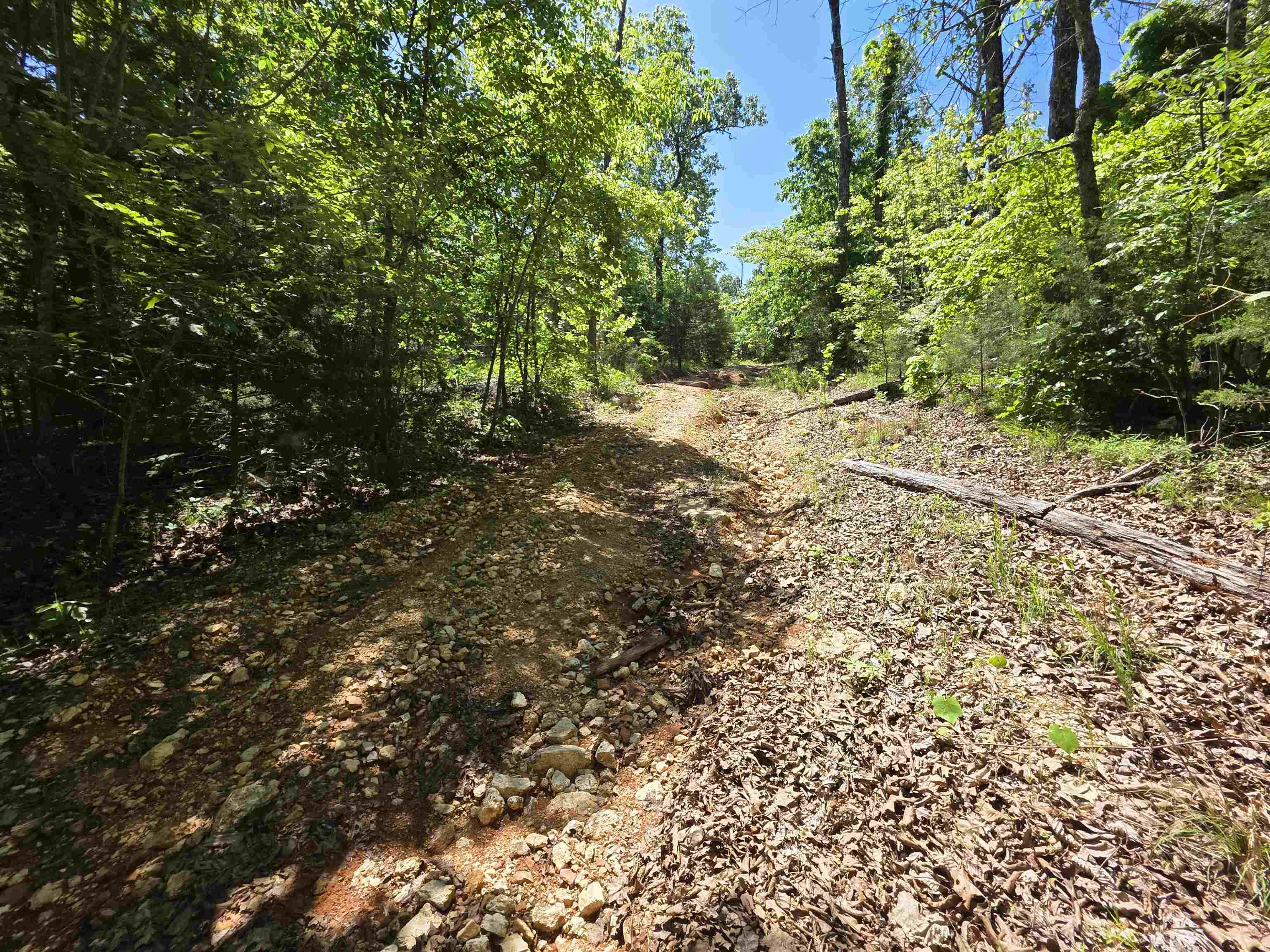 Photo 28 - Vacant Land for sale – L43, 44  White Horse Mountain   Hardy, AR