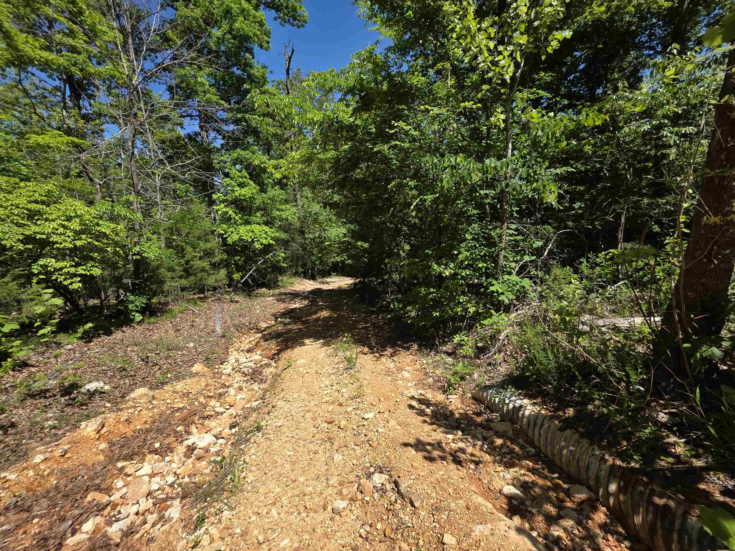 Photo 29 - Vacant Land for sale – L43, 44  White Horse Mountain   Hardy, AR