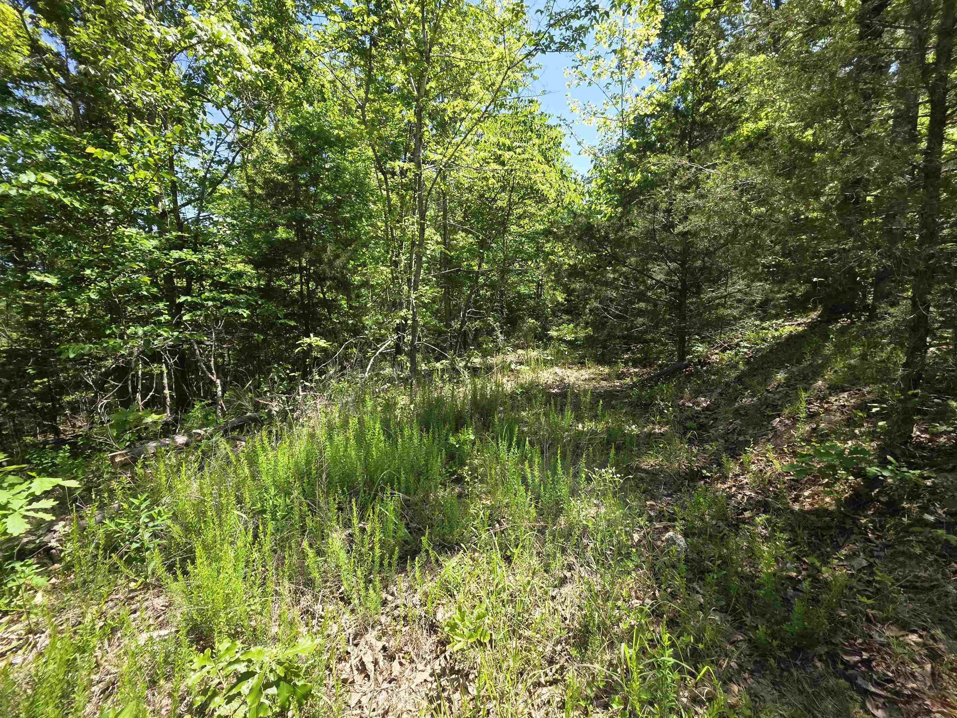 Photo 30 - Vacant Land for sale – L43, 44  White Horse Mountain   Hardy, AR