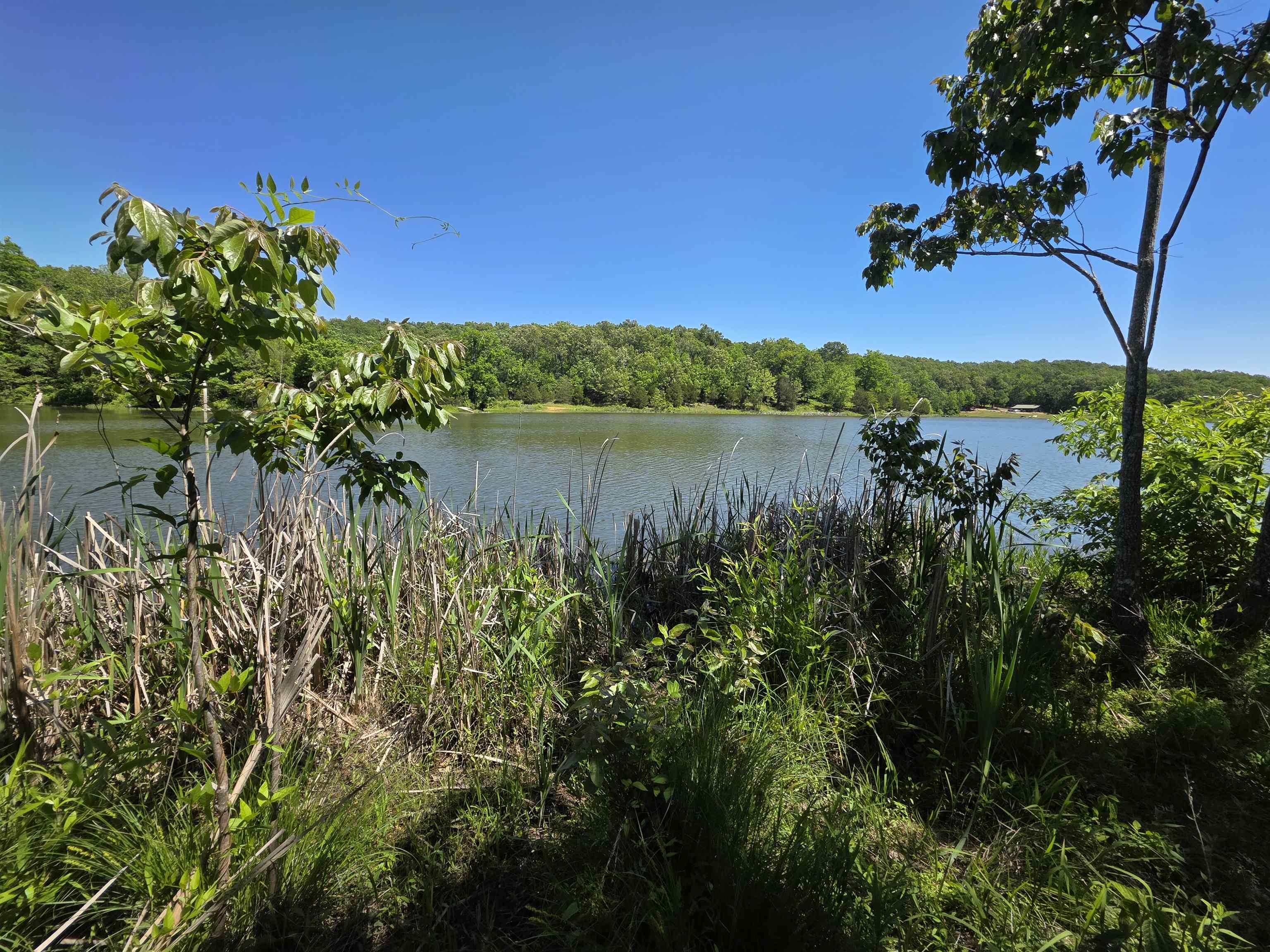Photo 4 - Vacant Land for sale – L43, 44  White Horse Mountain   Hardy, AR