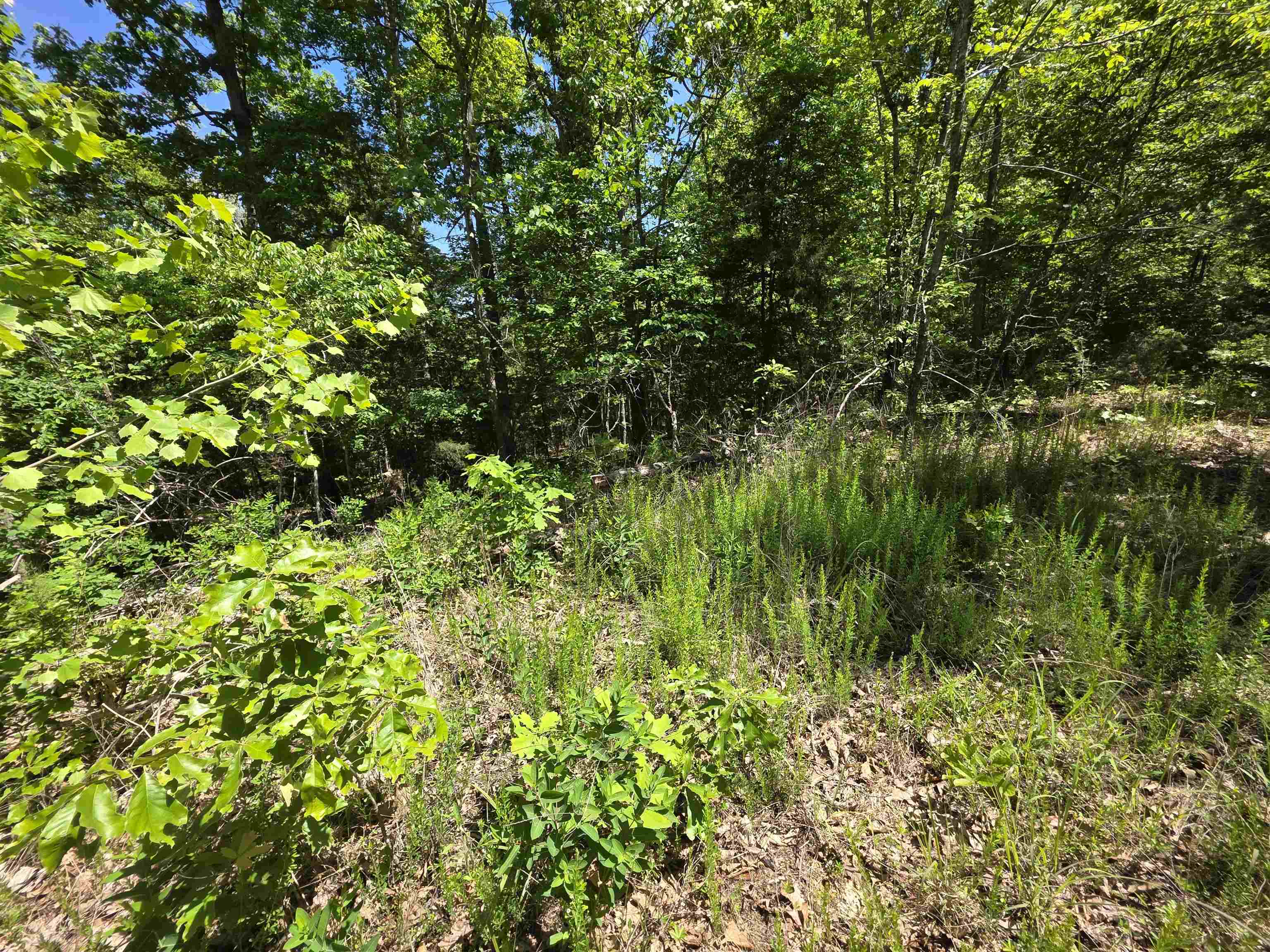 Photo 31 - Vacant Land for sale – L43, 44  White Horse Mountain   Hardy, AR
