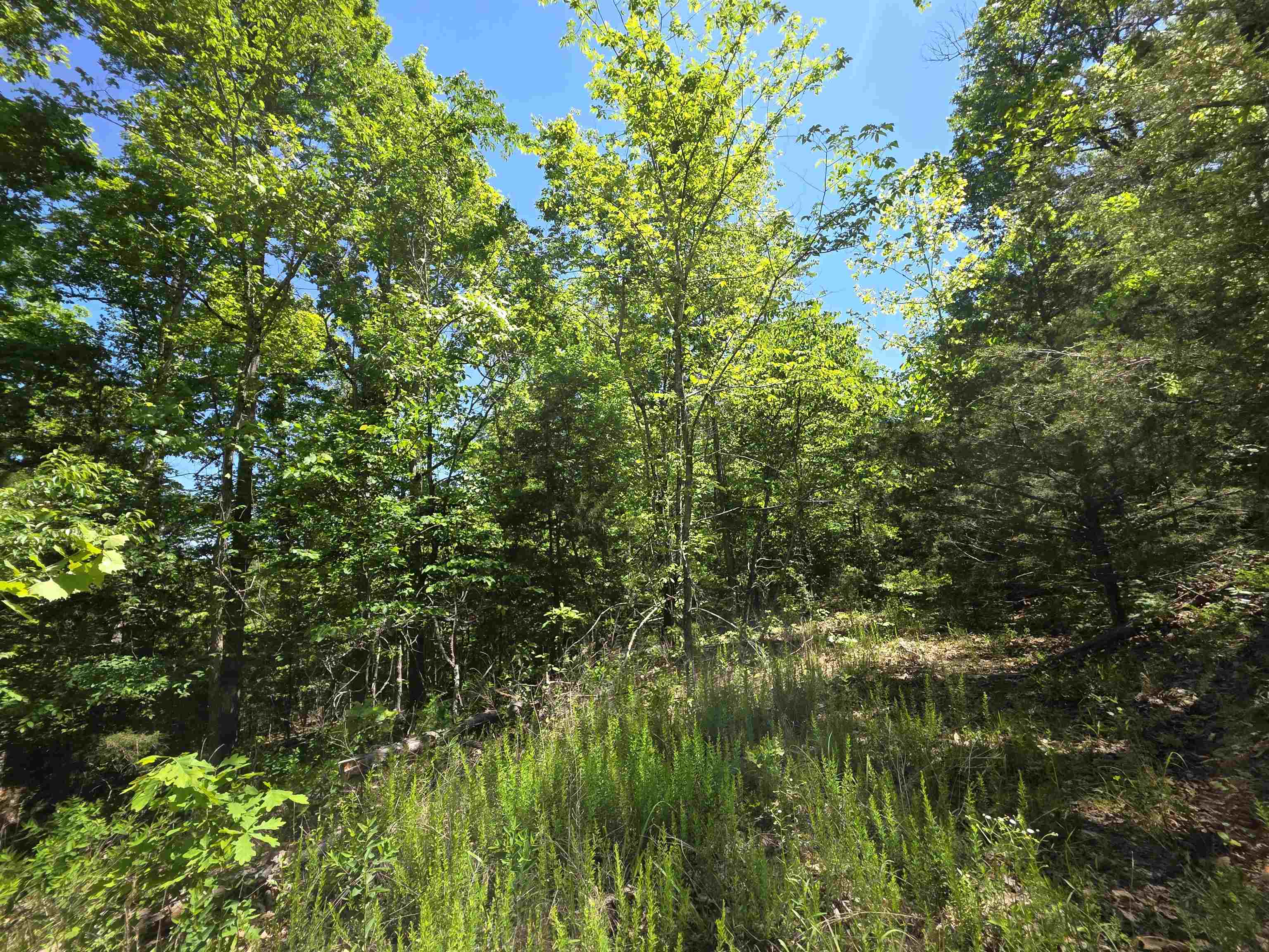 Photo 32 - Vacant Land for sale – L43, 44  White Horse Mountain   Hardy, AR