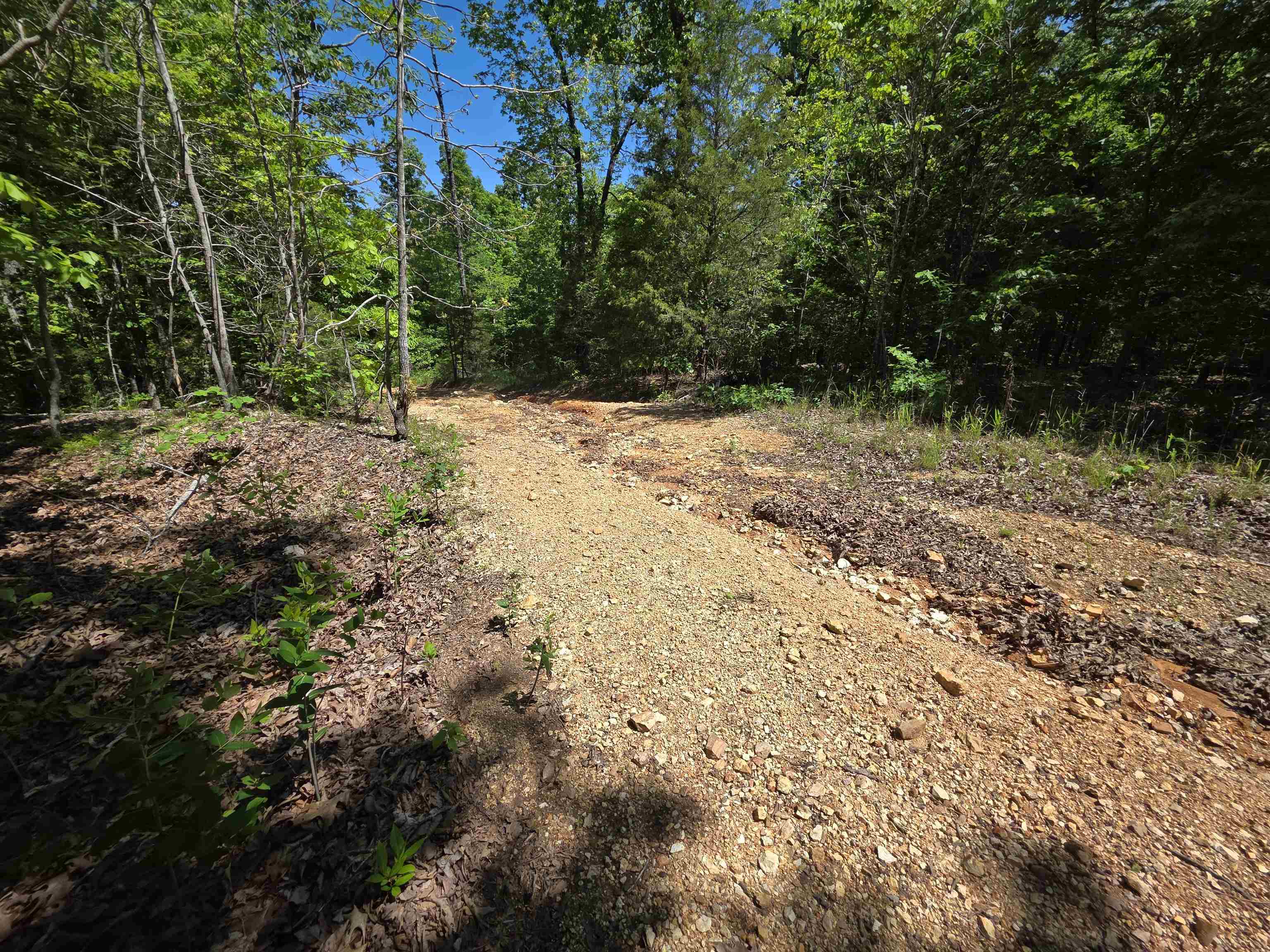 Photo 34 - Vacant Land for sale – L43, 44  White Horse Mountain   Hardy, AR