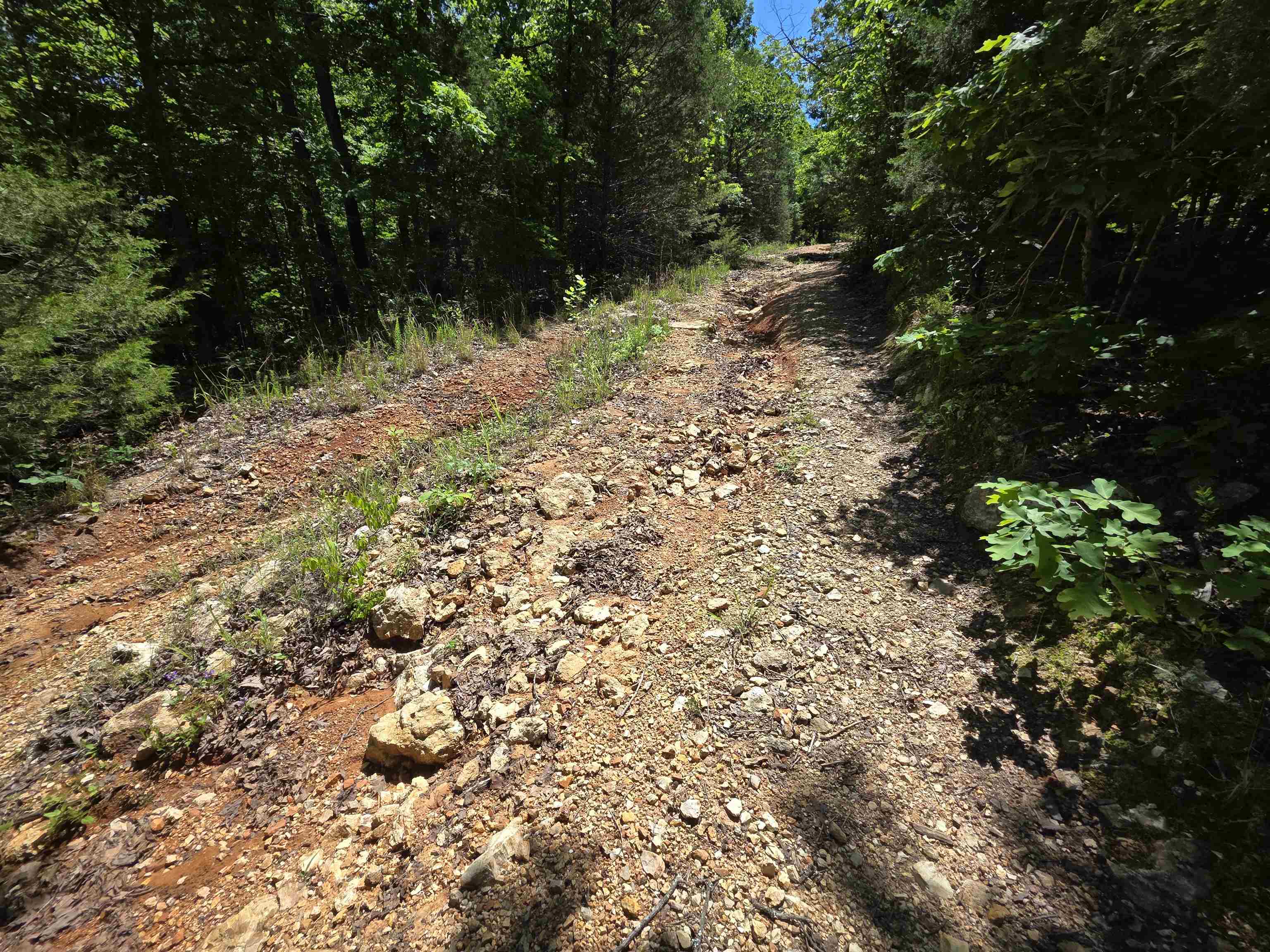 Photo 36 - Vacant Land for sale – L43, 44  White Horse Mountain   Hardy, AR