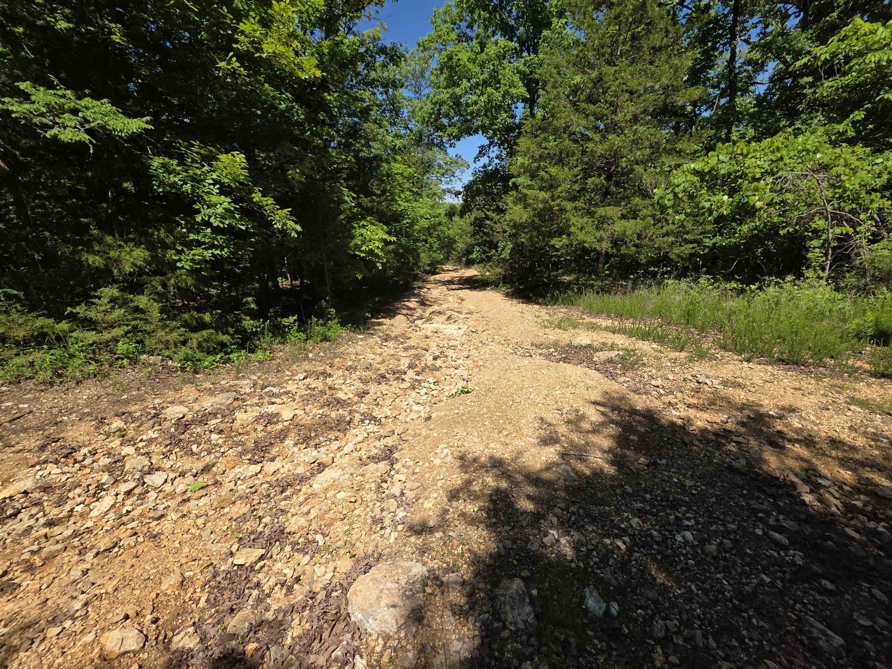 Photo 38 - Vacant Land for sale – L43, 44  White Horse Mountain   Hardy, AR