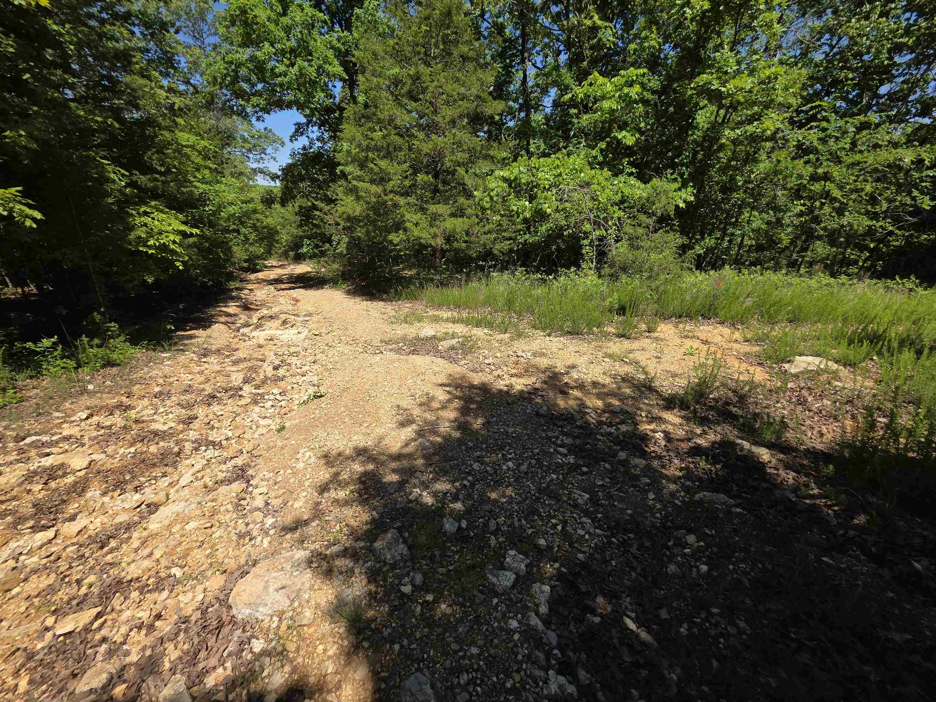 Photo 39 - Vacant Land for sale – L43, 44  White Horse Mountain   Hardy, AR