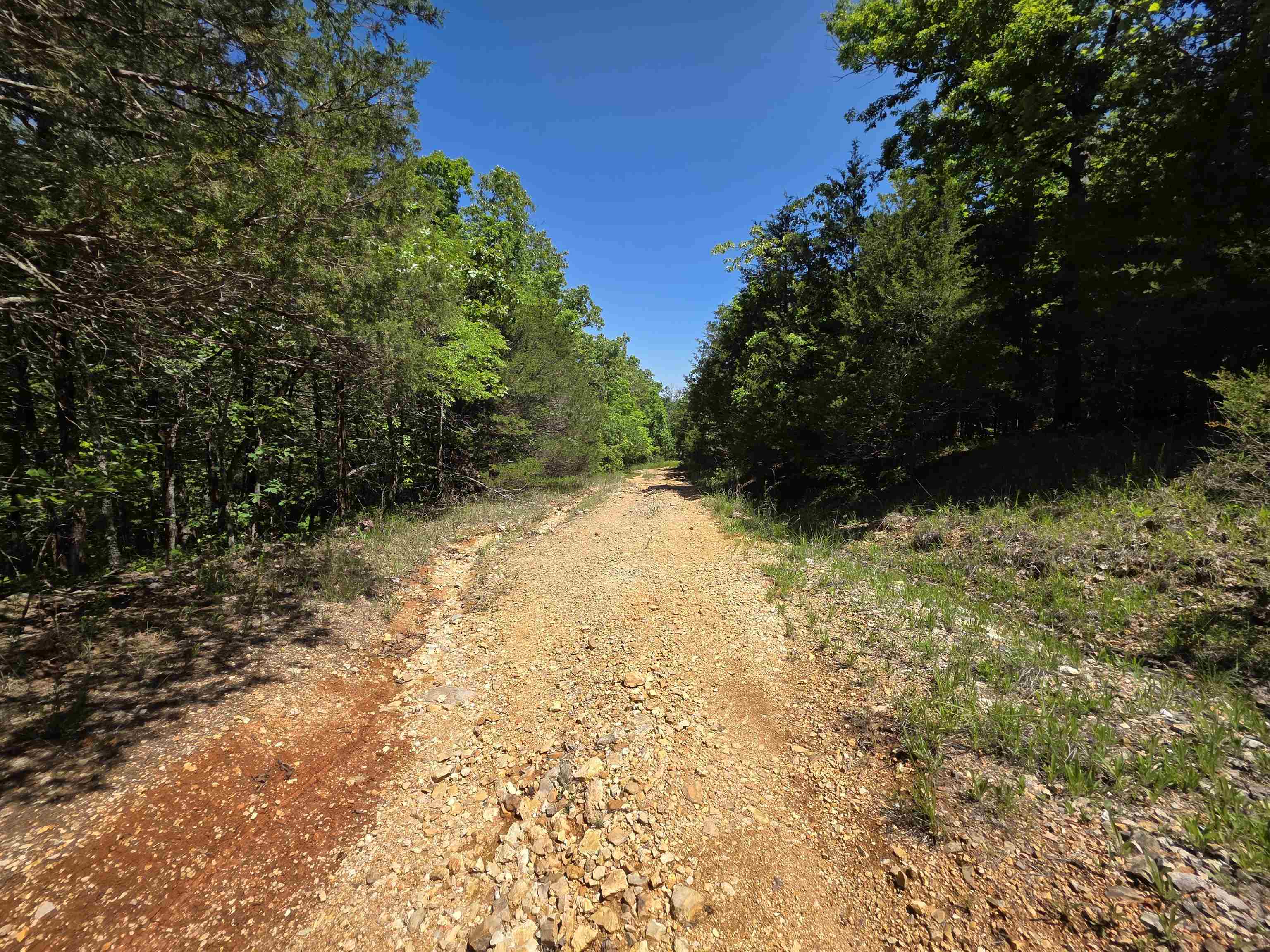 Photo 41 - Vacant Land for sale – L43, 44  White Horse Mountain   Hardy, AR