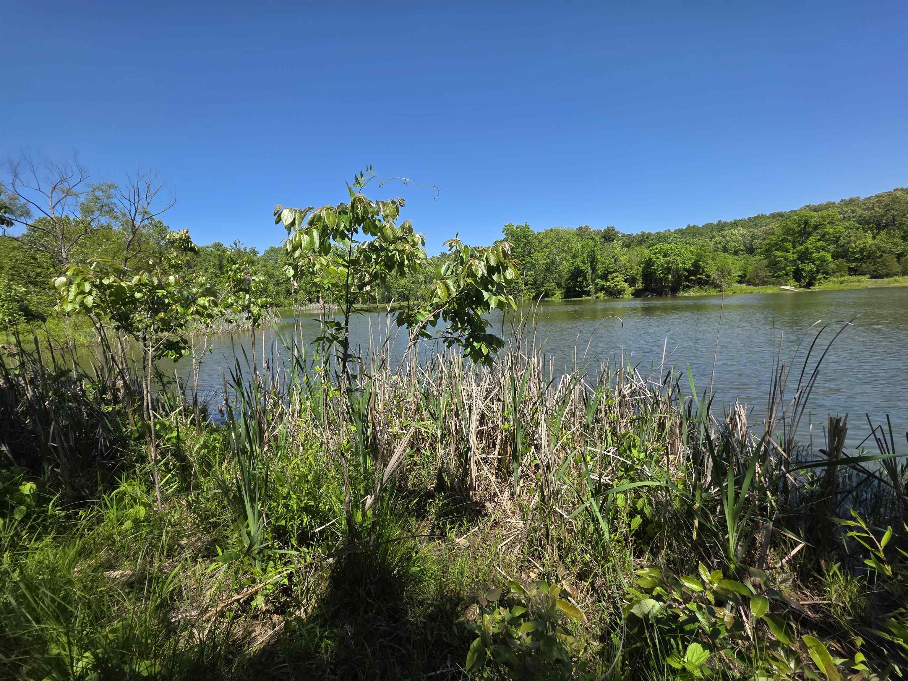 Photo 6 - Vacant Land for sale – L43, 44  White Horse Mountain   Hardy, AR
