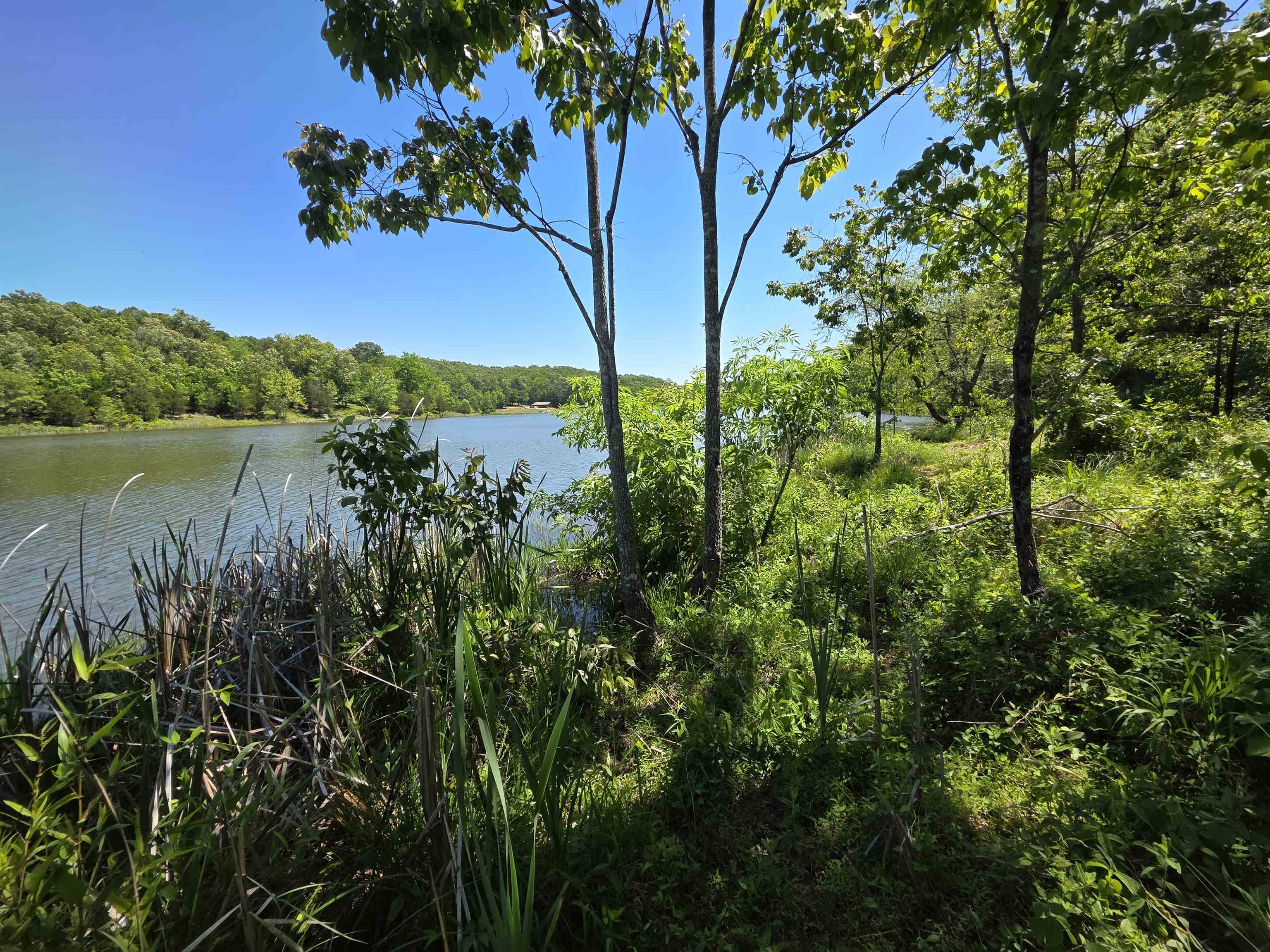 Photo 7 - Vacant Land for sale – L43, 44  White Horse Mountain   Hardy, AR