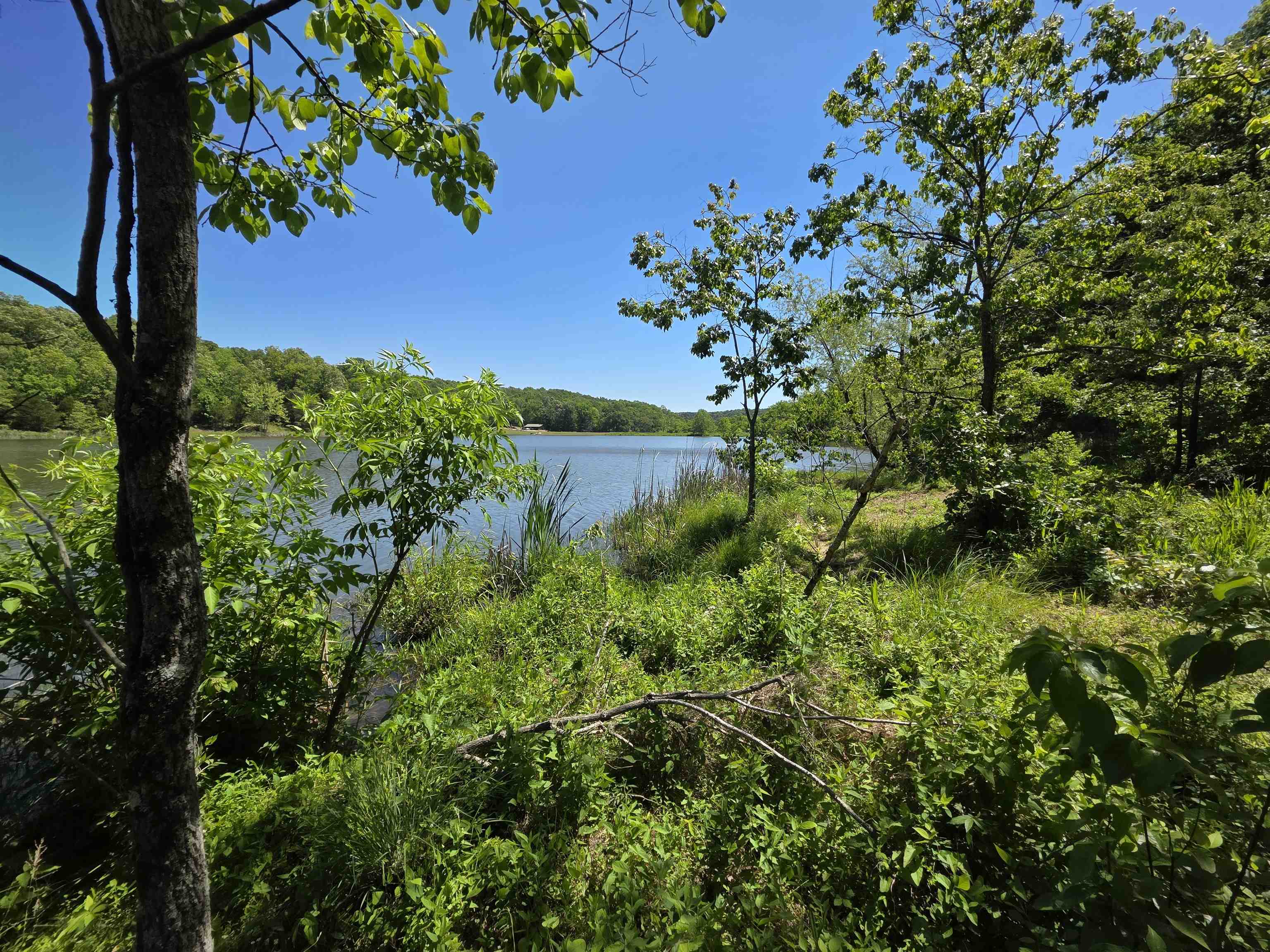 Photo 8 - Vacant Land for sale – L43, 44  White Horse Mountain   Hardy, AR