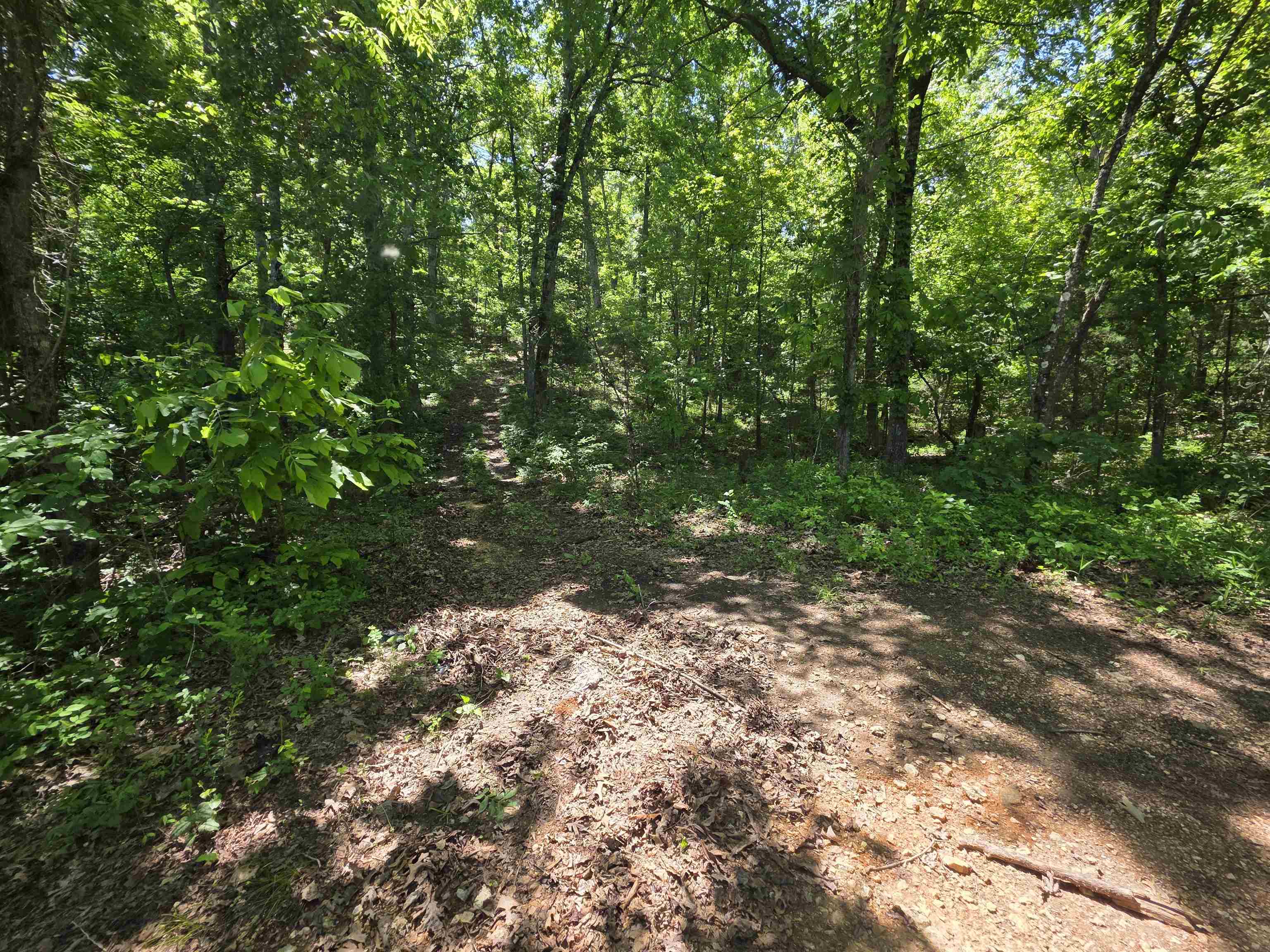 Photo 9 - Vacant Land for sale – L43, 44  White Horse Mountain   Hardy, AR
