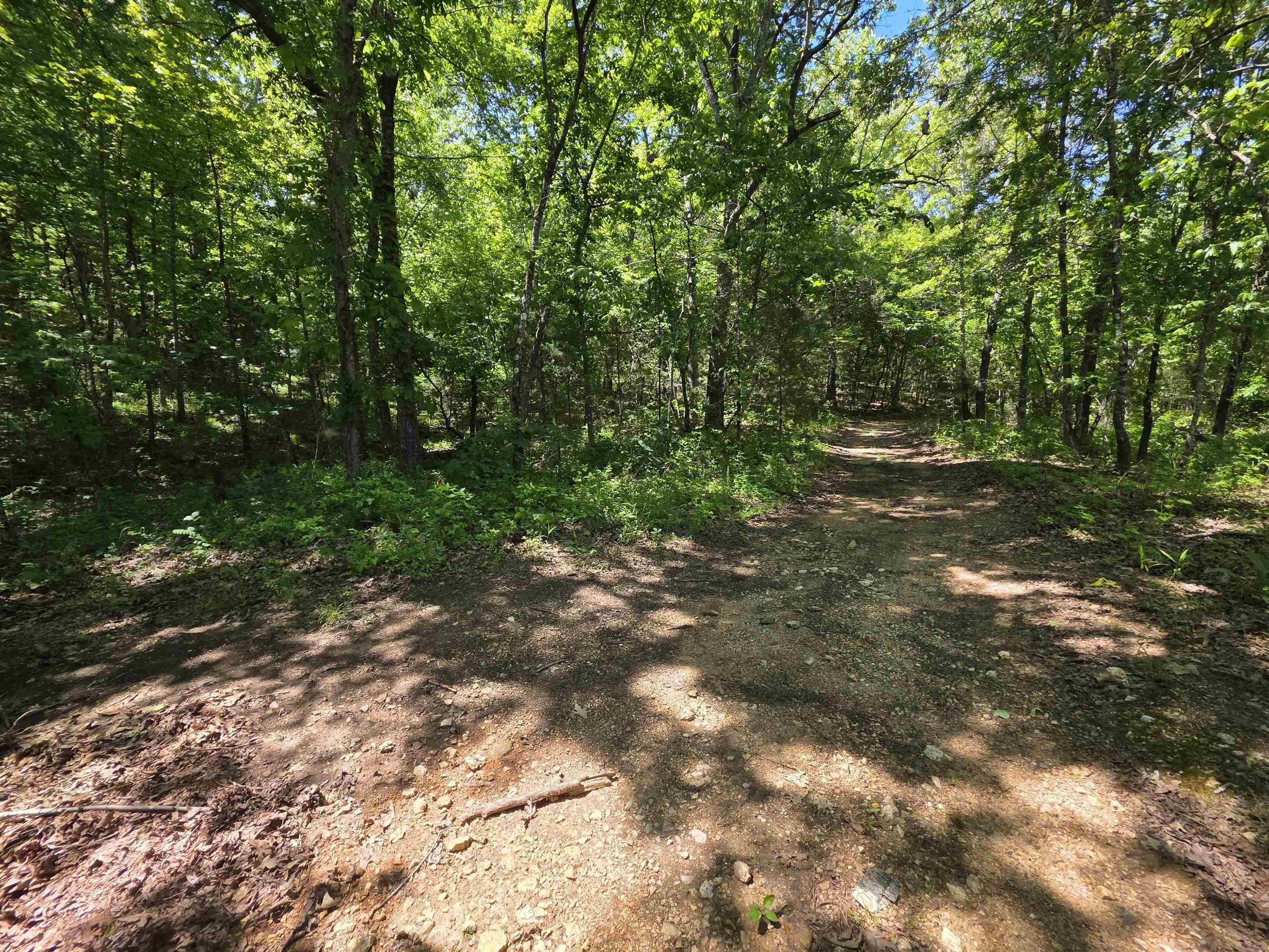 Photo 10 - Vacant Land for sale – L43, 44  White Horse Mountain   Hardy, AR
