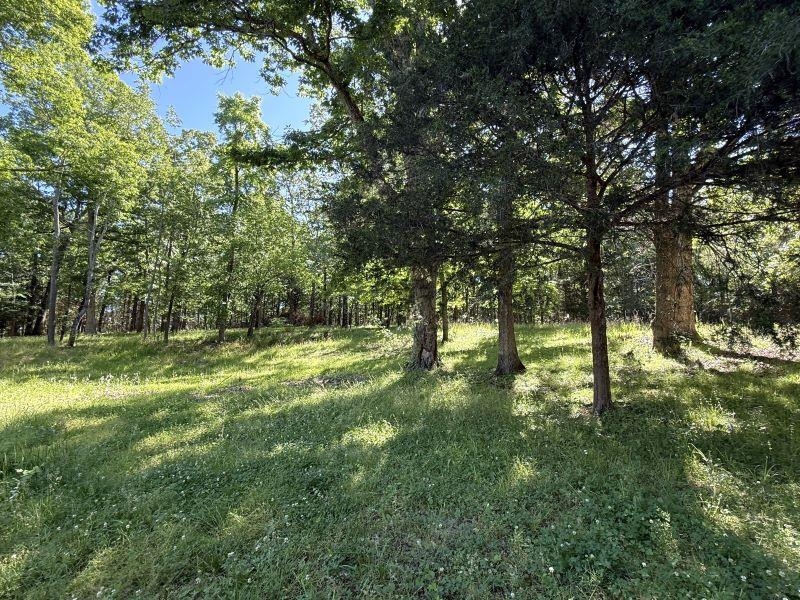 Photo 12 - Residential for sale – 298  Hwy 63   Ravenden, AR
