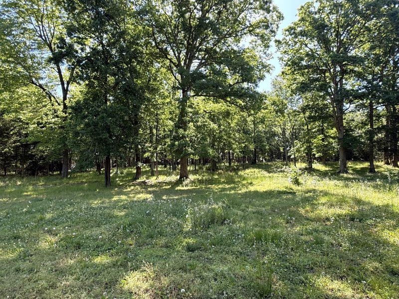 Photo 13 - Residential for sale – 298  Hwy 63   Ravenden, AR
