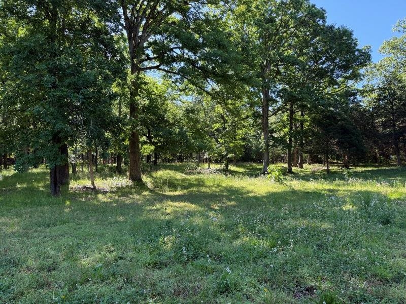 Photo 14 - Residential for sale – 298  Hwy 63   Ravenden, AR