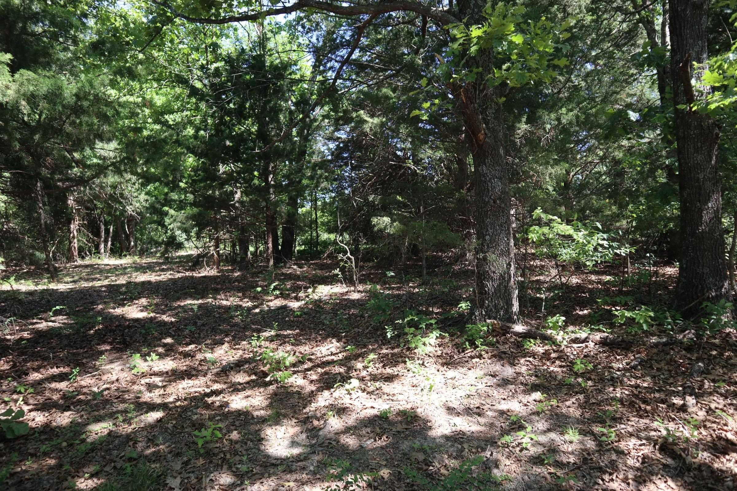 Photo 29 - Residential for sale – 3863  Browns Chapel Rd   Viola, AR