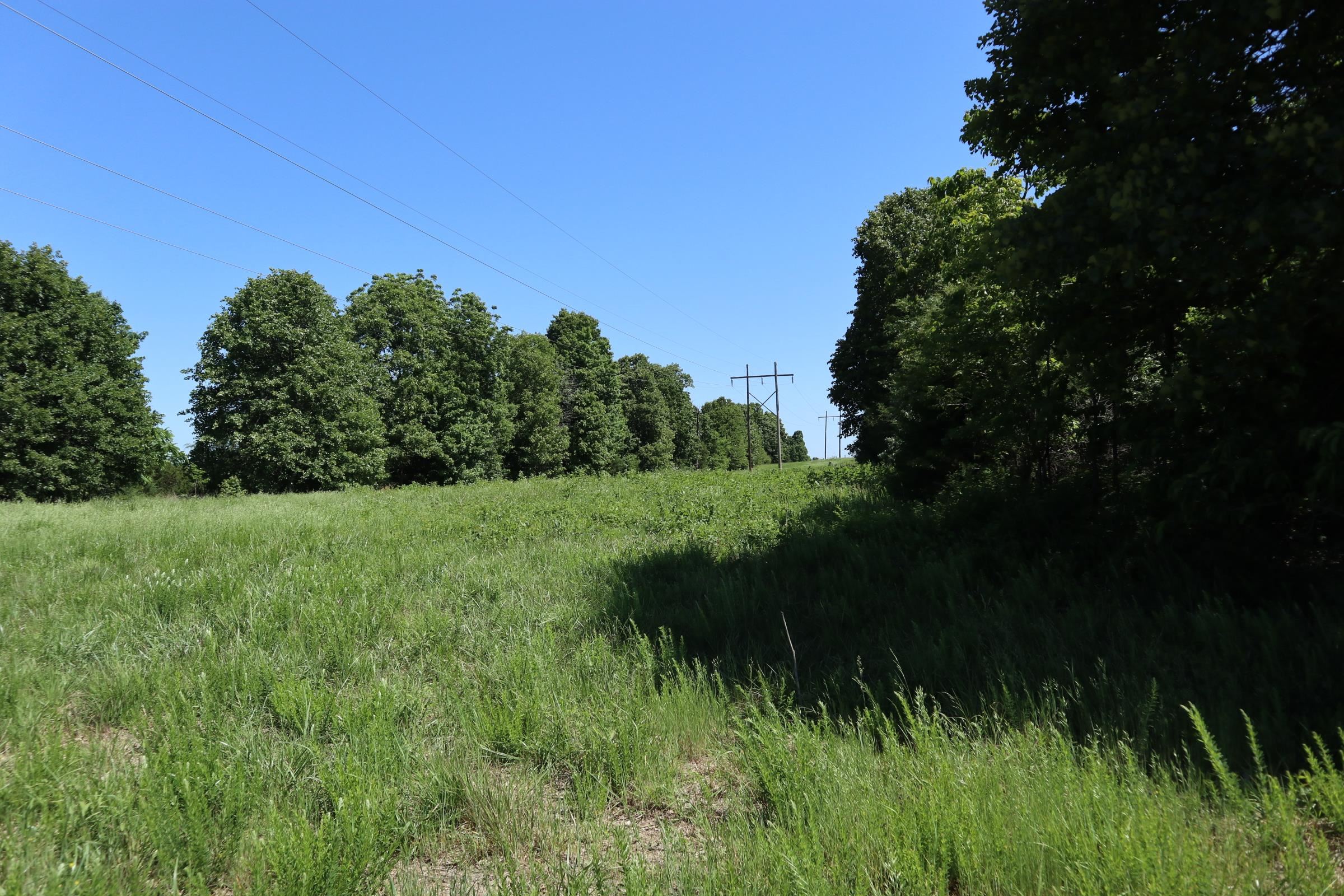 Photo 32 - Residential for sale – 3863  Browns Chapel Rd   Viola, AR