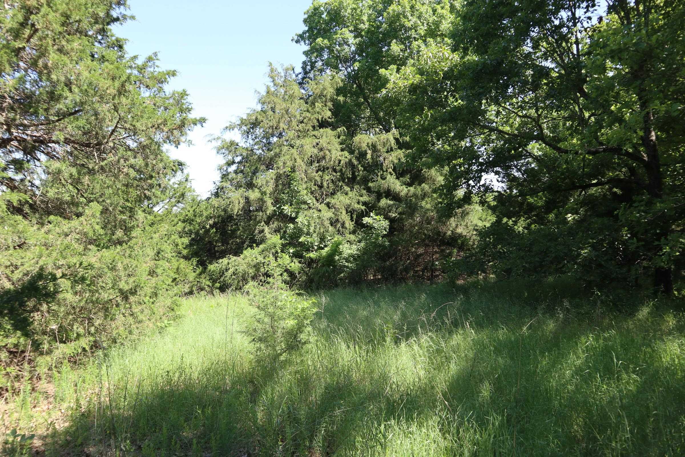 Photo 36 - Residential for sale – 3863  Browns Chapel Rd   Viola, AR
