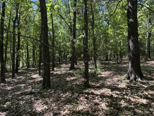 Photo 40 - Residential for sale – 3863  Browns Chapel Rd   Viola, AR