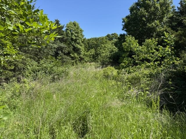 Photo 41 - Residential for sale – 3863  Browns Chapel Rd   Viola, AR