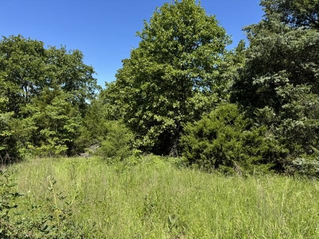 Photo 42 - Residential for sale – 3863  Browns Chapel Rd   Viola, AR