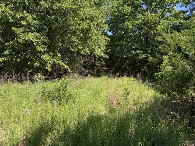 Photo 43 - Residential for sale – 3863  Browns Chapel Rd   Viola, AR