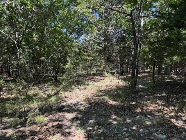 Photo 44 - Residential for sale – 3863  Browns Chapel Rd   Viola, AR