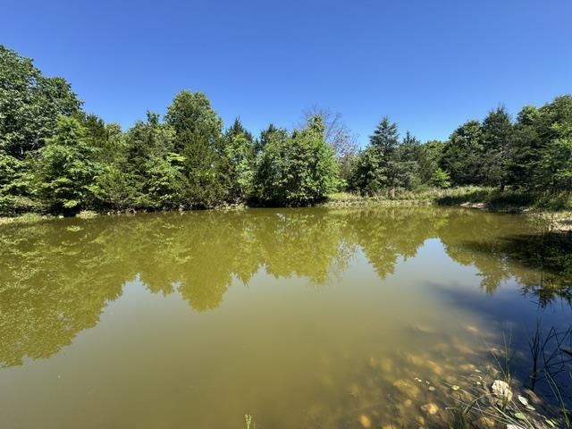 Photo 46 - Residential for sale – 3863  Browns Chapel Rd   Viola, AR
