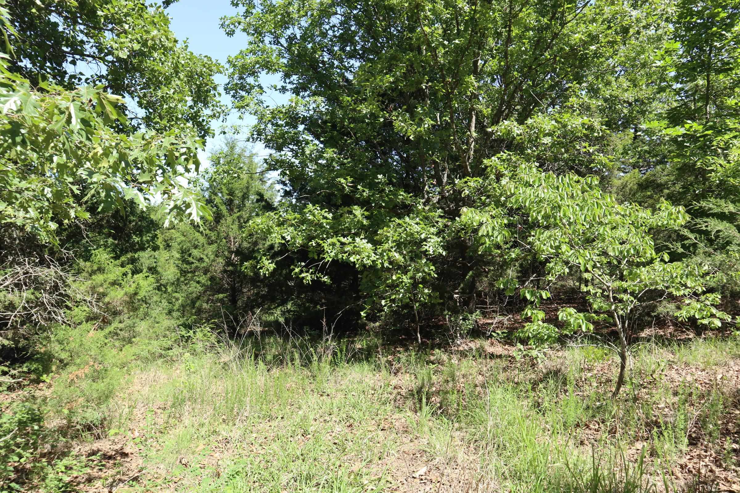 Photo 2 - Vacant Land for sale – TBD  Browns Chapel Rd   Viola, AR