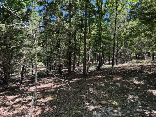 Photo 4 - Vacant Land for sale – TBD  Browns Chapel Rd   Viola, AR