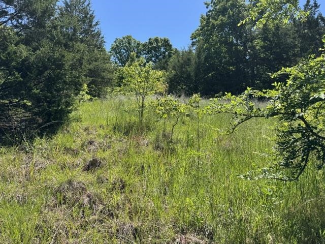 Photo 5 - Vacant Land for sale – TBD  Browns Chapel Rd   Viola, AR