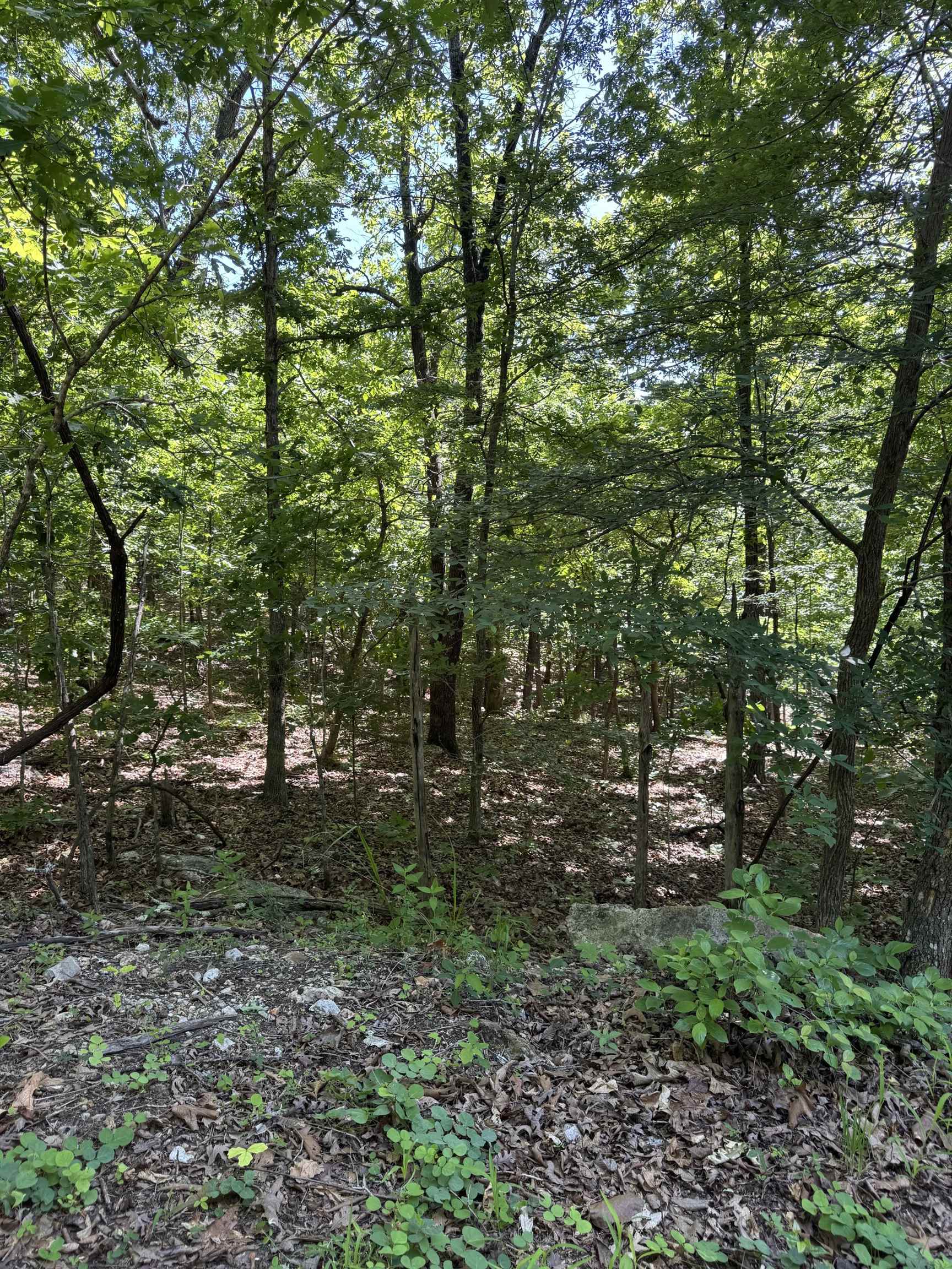 Vacant Land for sale – TBD  Spokane   Cherokee Village, AR