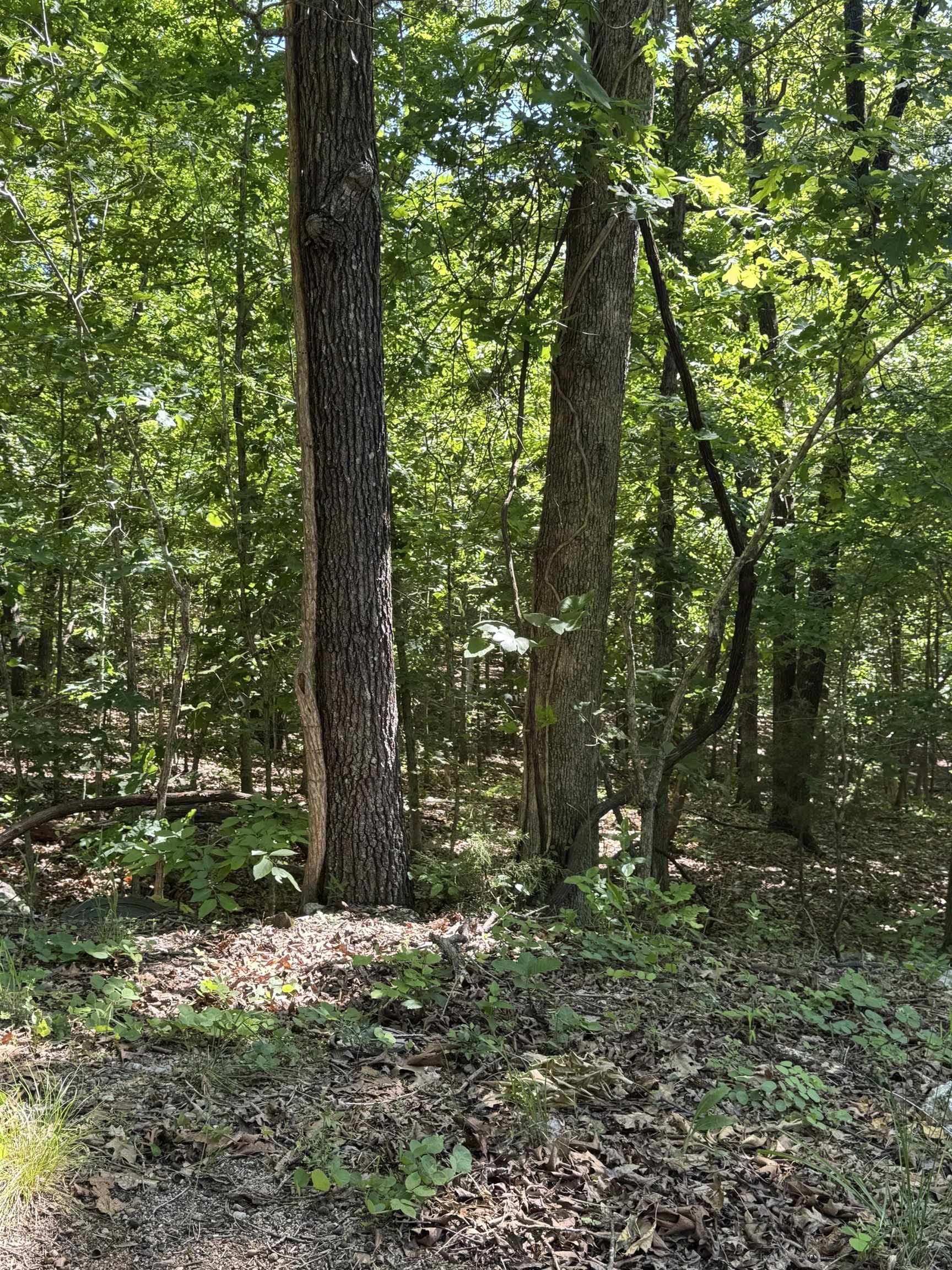 Photo 3 - Vacant Land for sale – TBD  Spokane   Cherokee Village, AR