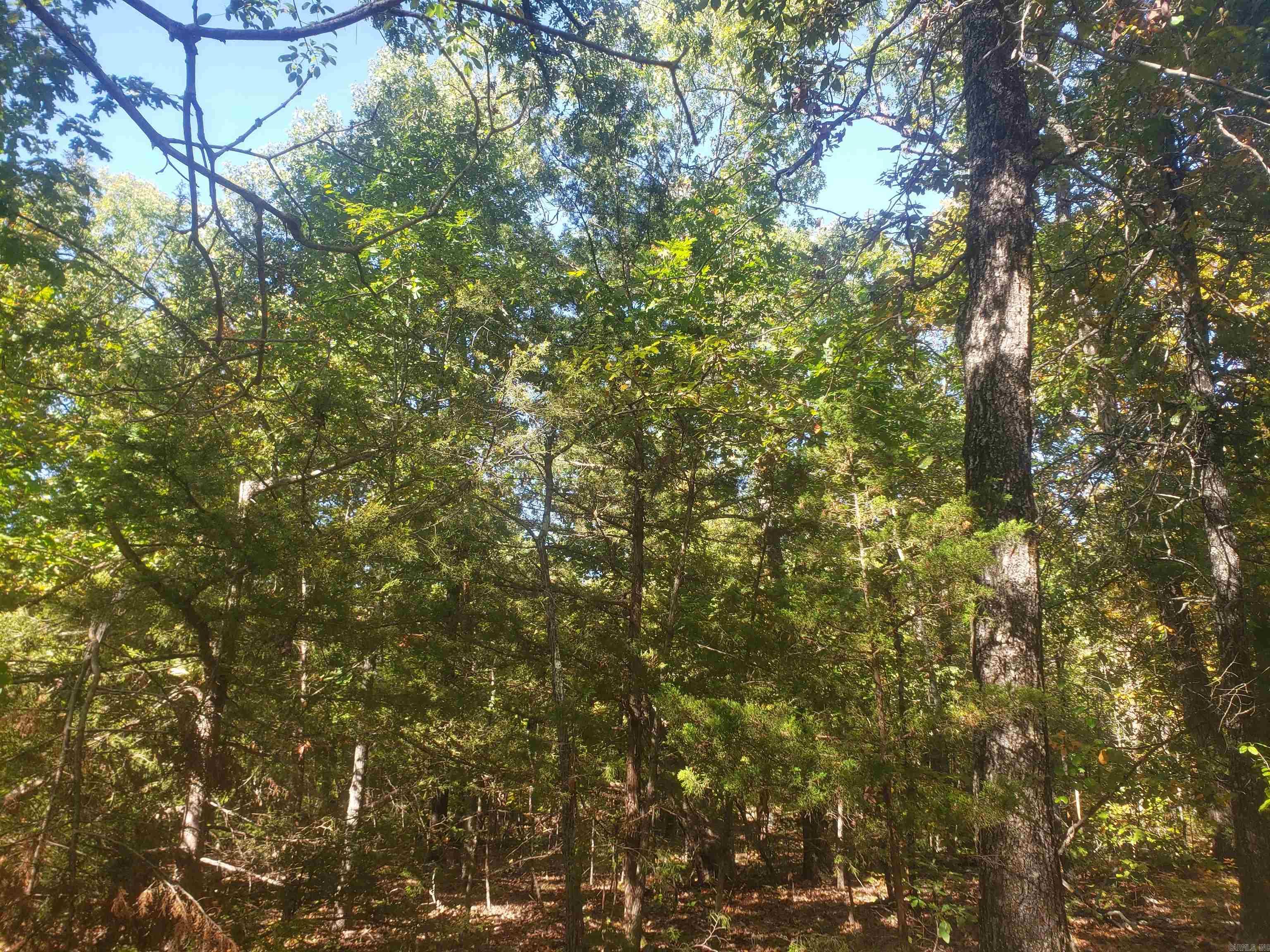 Photo 2 - Vacant Land for sale – 316 W Shady   Horseshoe Bend, AR