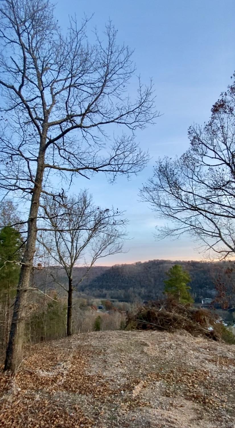 Photo 11 - Vacant Land for sale – 335  Mountain Retreat   Mountain View, AR