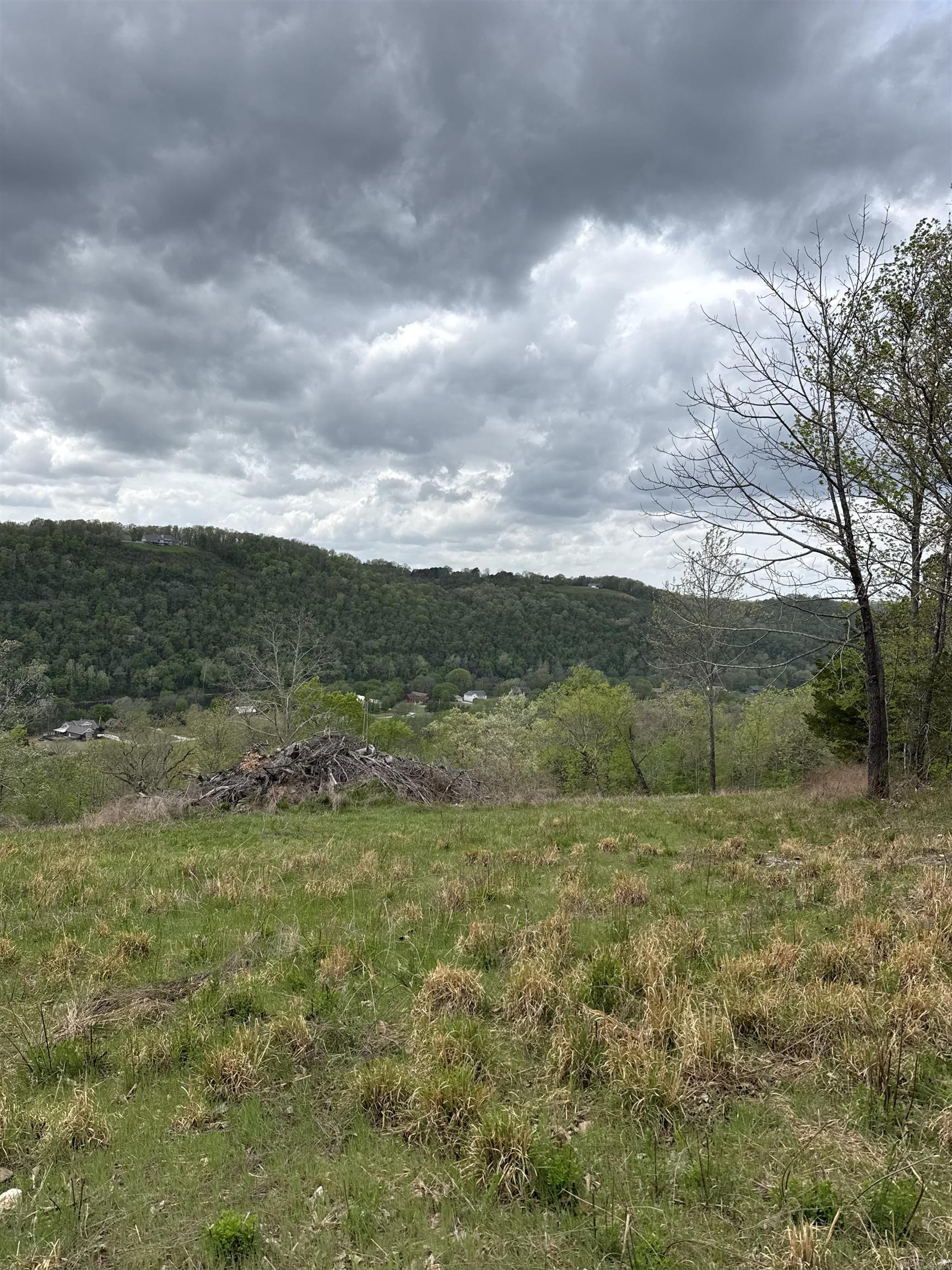 Photo 3 - Vacant Land for sale – 335  Mountain Retreat   Mountain View, AR