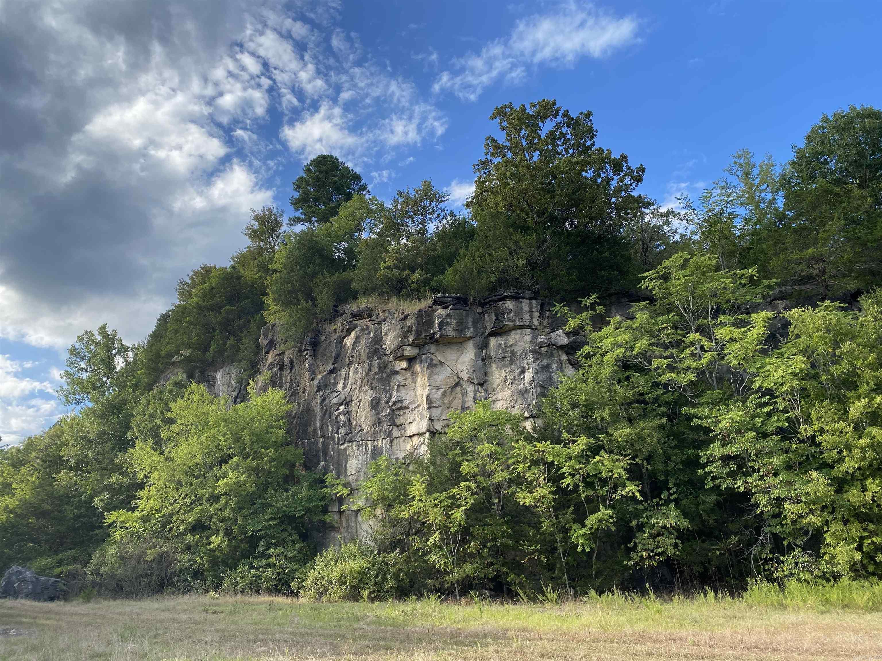 Photo 6 - Vacant Land for sale – 335  Mountain Retreat   Mountain View, AR