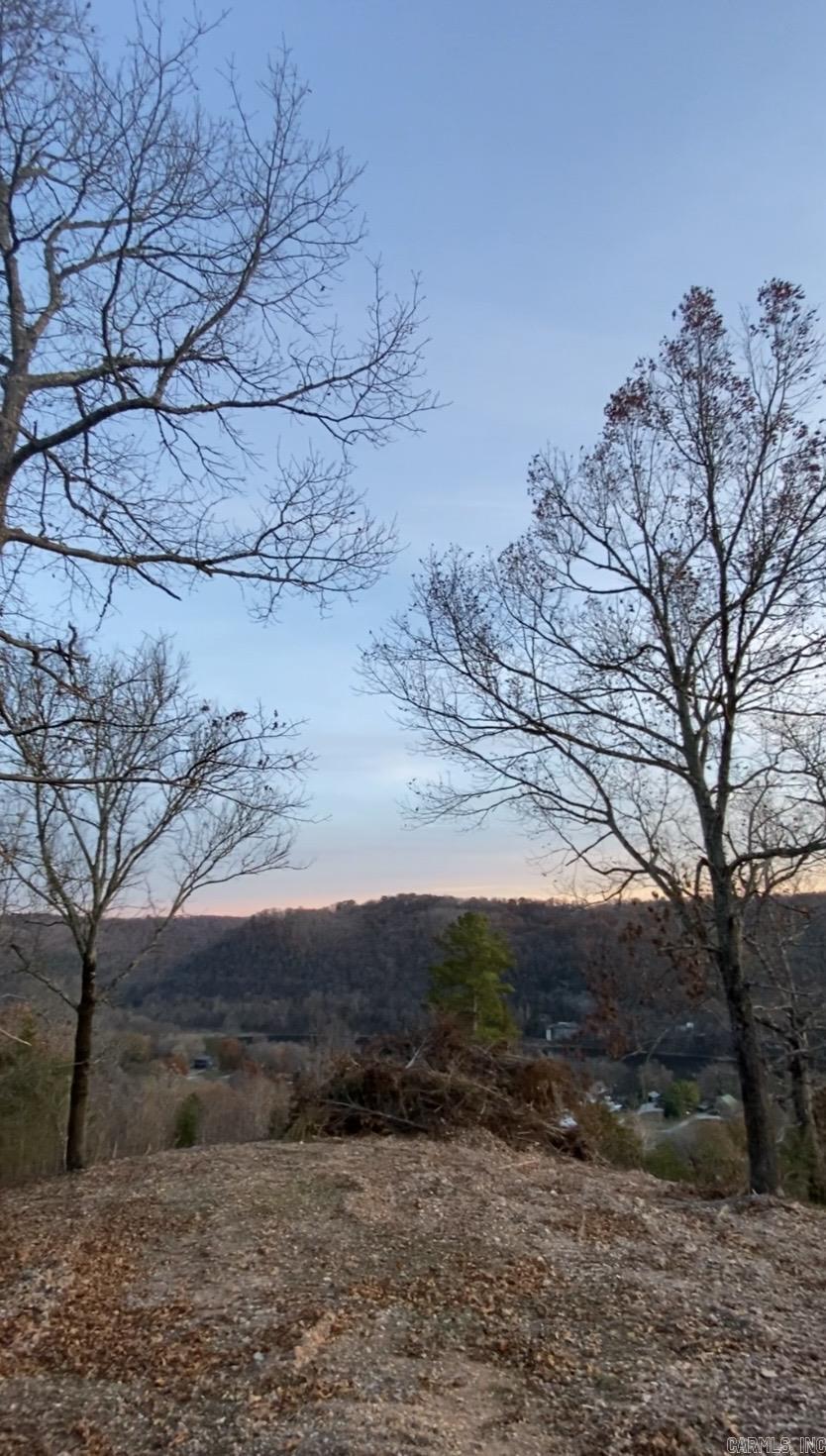 Photo 10 - Vacant Land for sale – 335  Mountain Retreat   Mountain View, AR